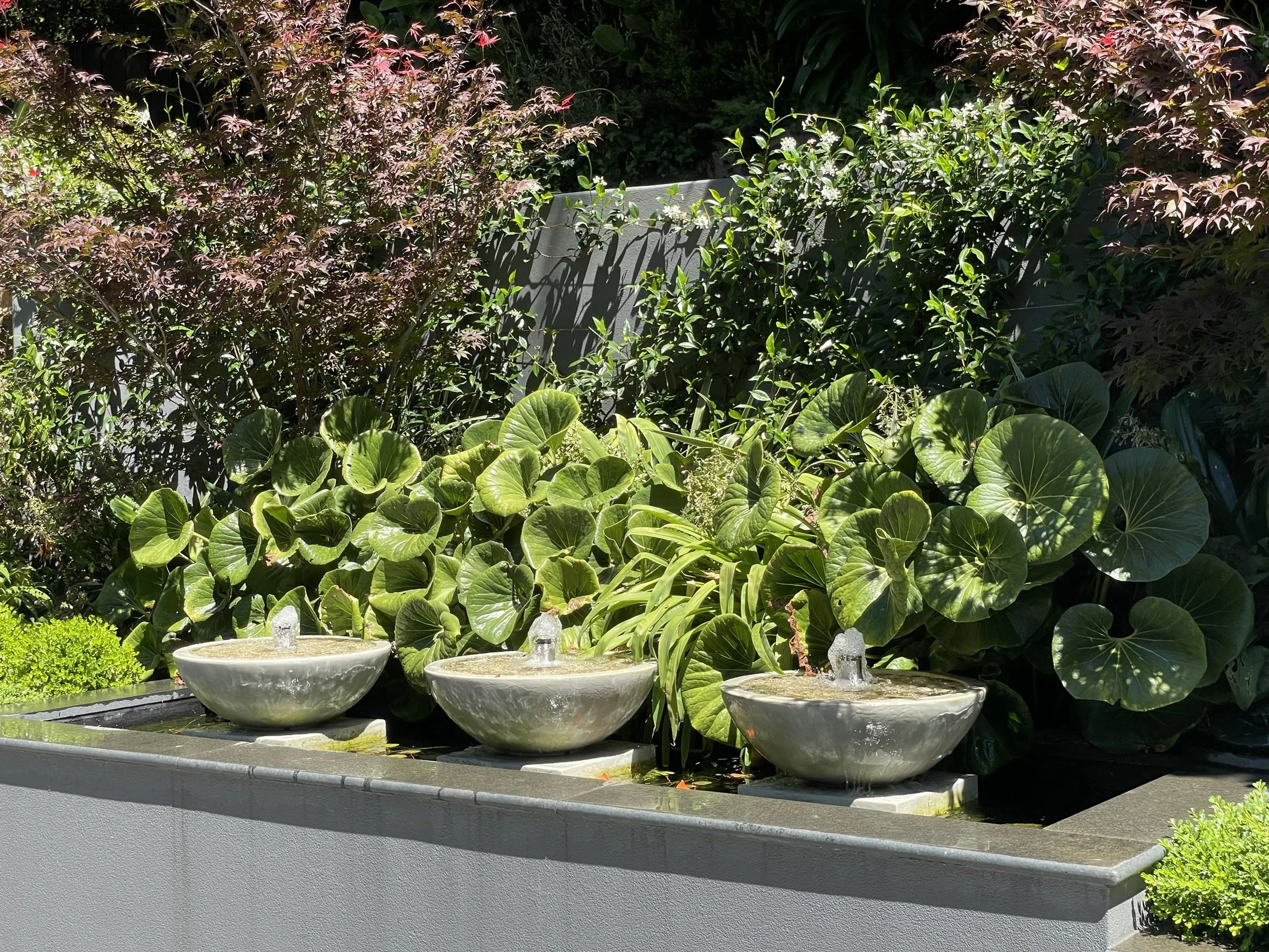 Outdoor garden with lush green plants and a water feature with three white bowls, each with a small fountain, against a backdrop of tall bushes and trees.