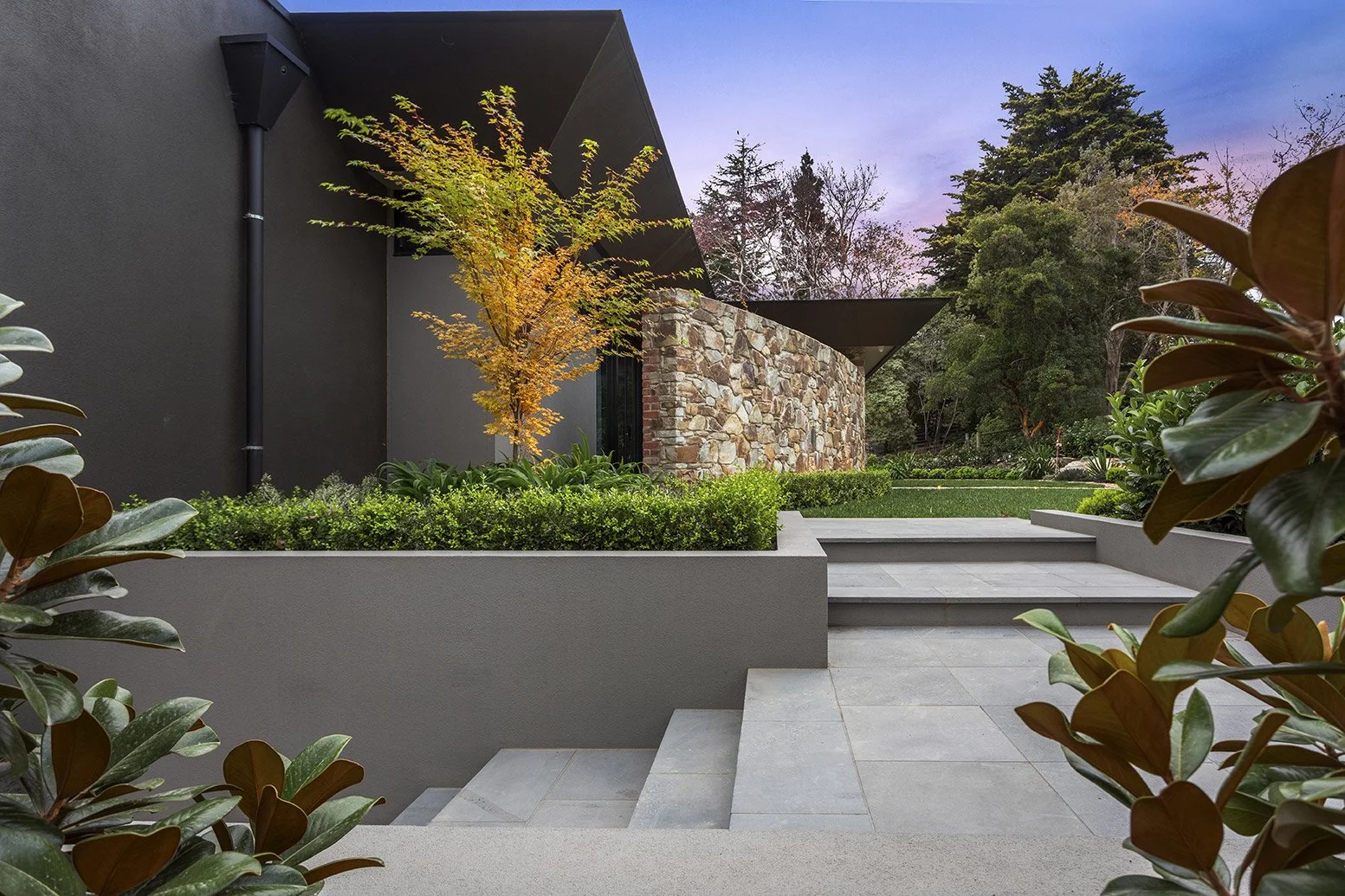 Modern house exterior with gray steps, lush greenery, and a tree with yellow leaves, stone wall, and black overhangs, during dusk.