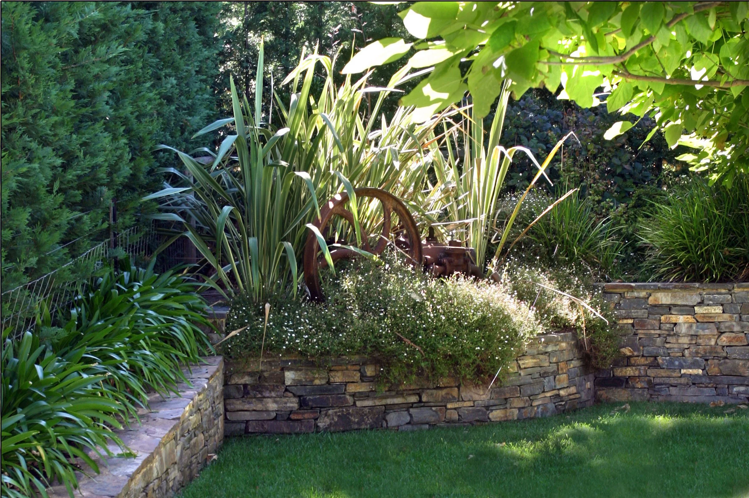 A garden scene with green bushes, tall grasses, and a stone retaining wall, with sunlight filtering through the trees.