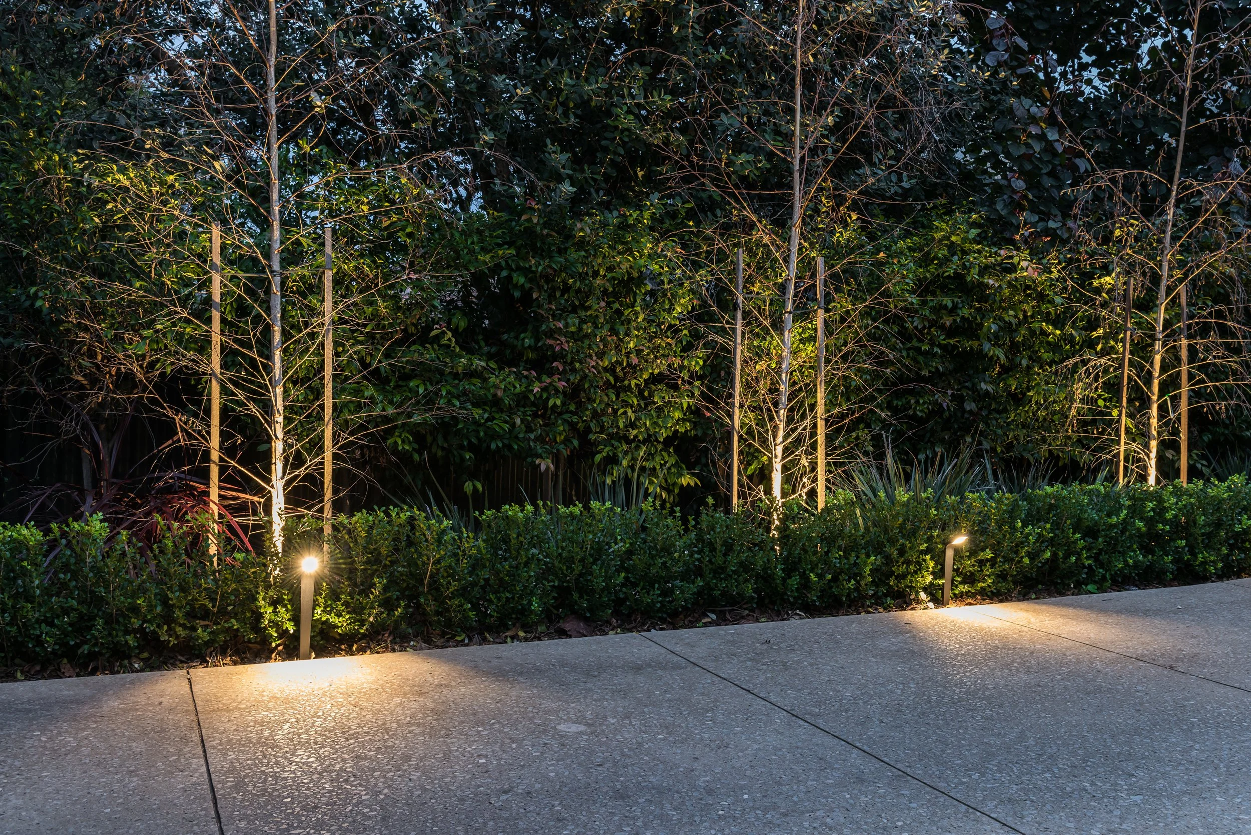 Toorak Gardens - 2.jpg