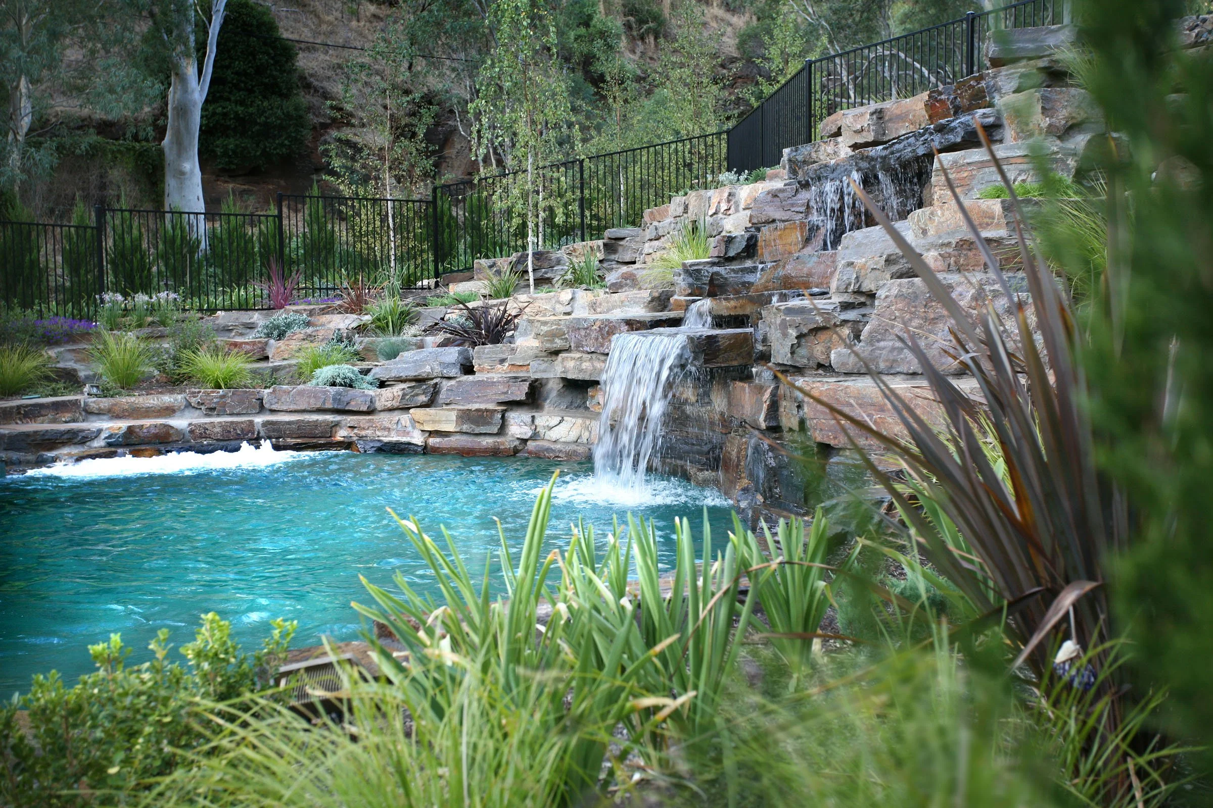 Waterfall Gully_9947.jpg