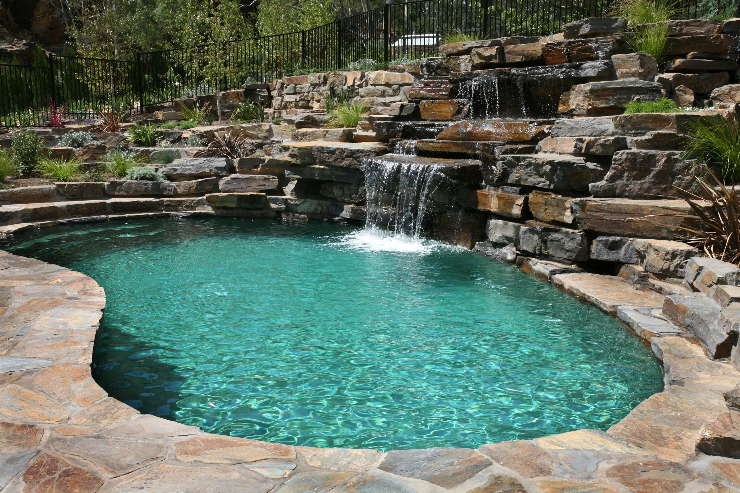 Waterfall Gully_0064.jpg