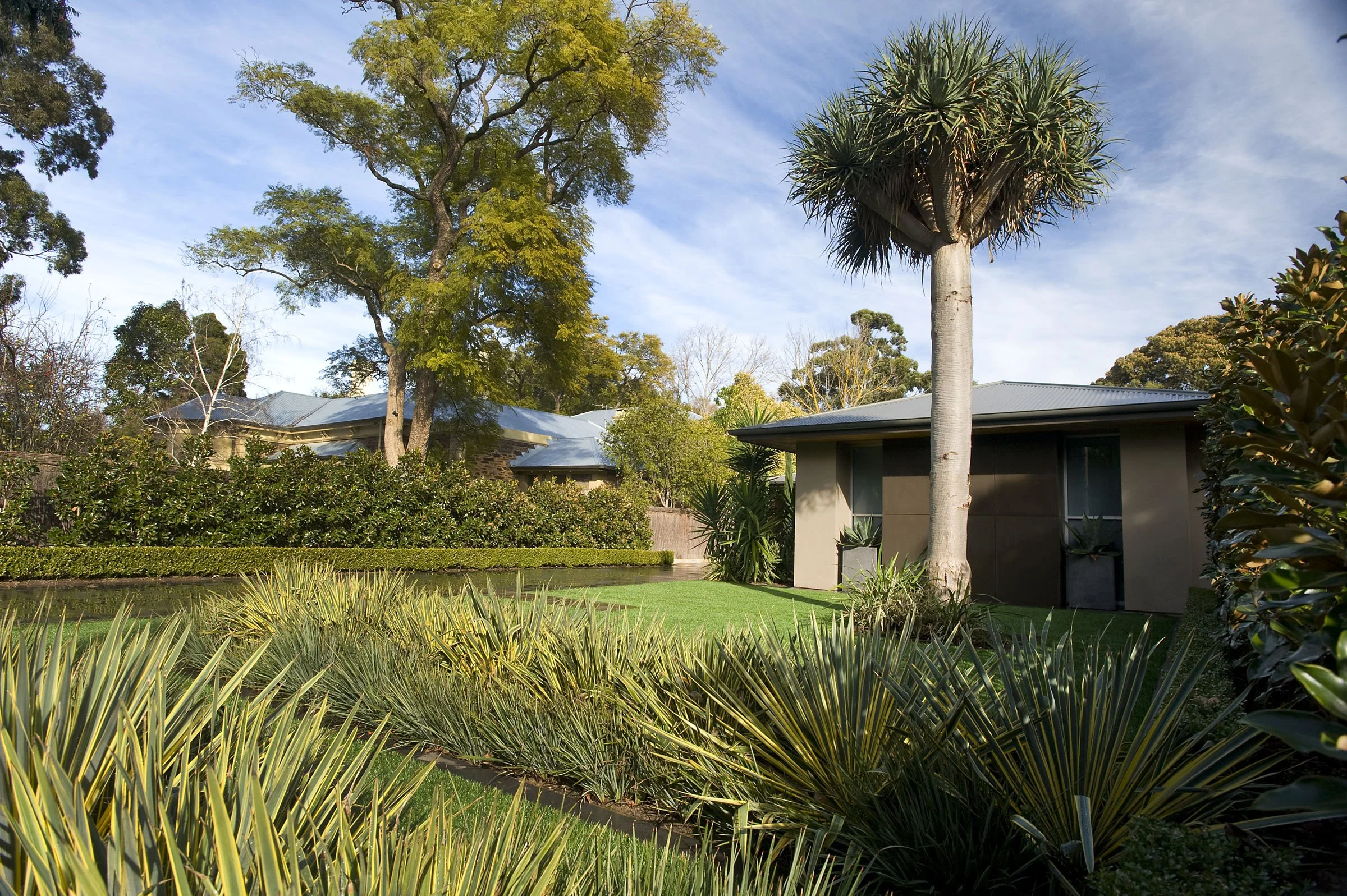 Unley Park_DSC6563.jpg