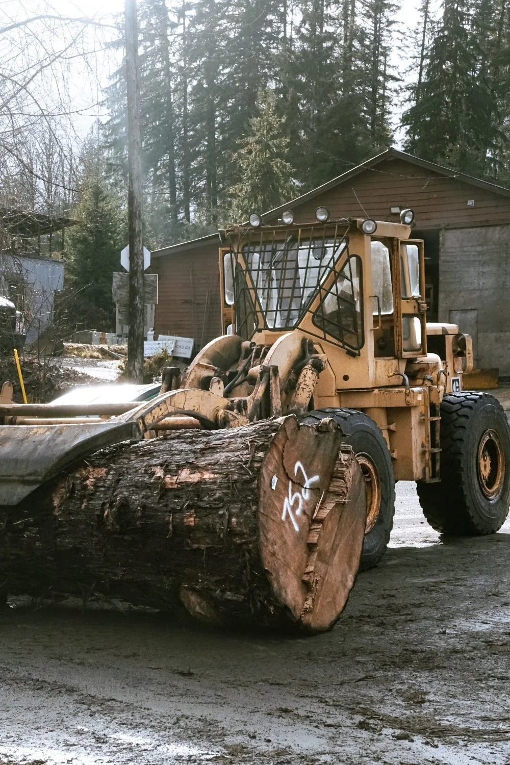 old growth lumberGreat Central Timber Milling Port Alberni