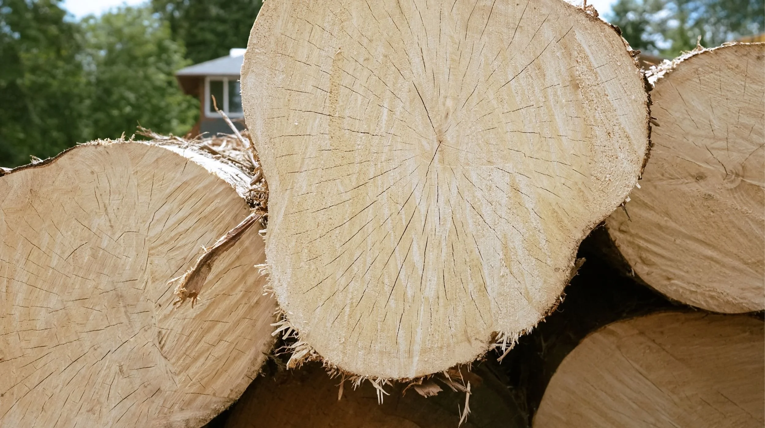 Great Central Timber Milling Port Alberni Custom Milling Sawmill