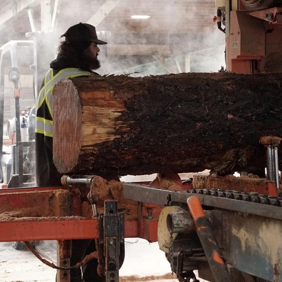 great central timber milling western red cedar projects sawmill Port Alberni bc vancouver island