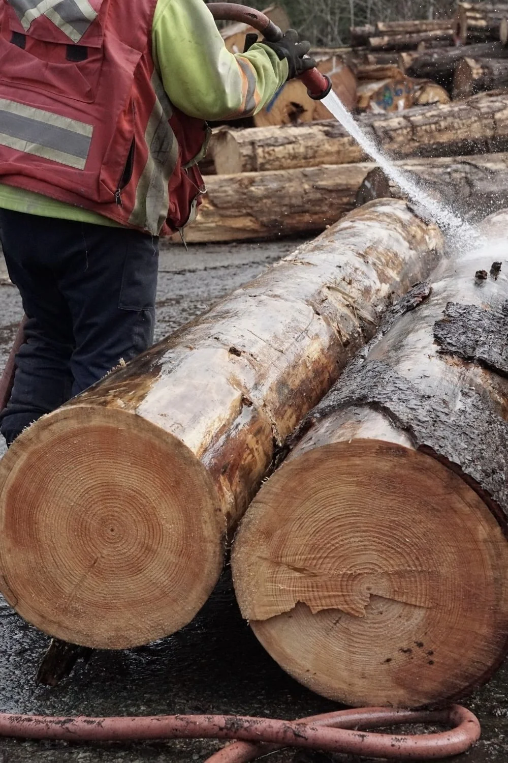 sawmill Great Central Timber Milling Port Alberni