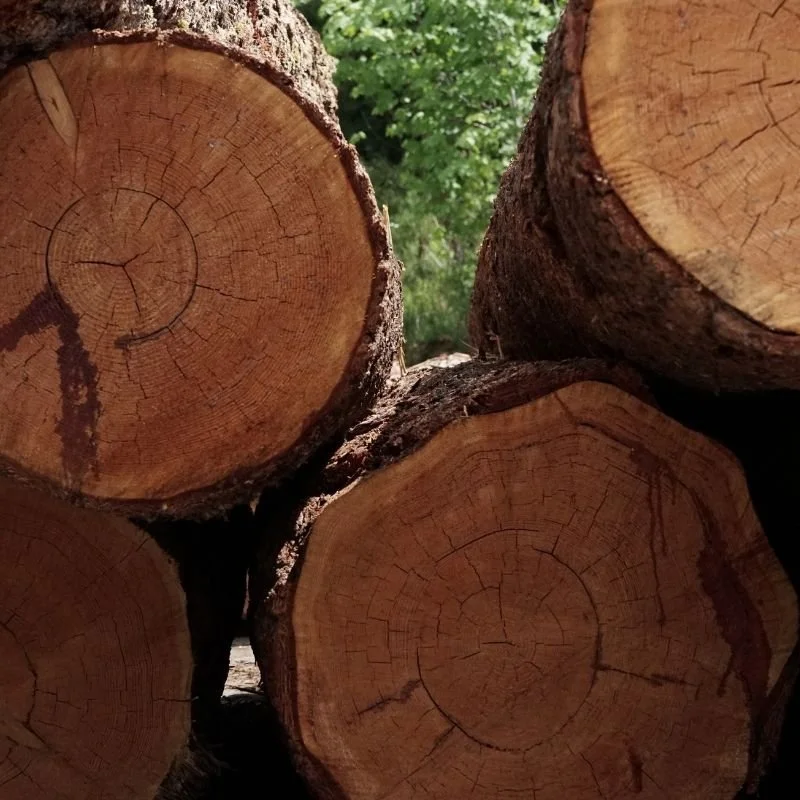rough cut Douglas fir lumber custom milling great central timber milling sawmill port Alberni beams and timber