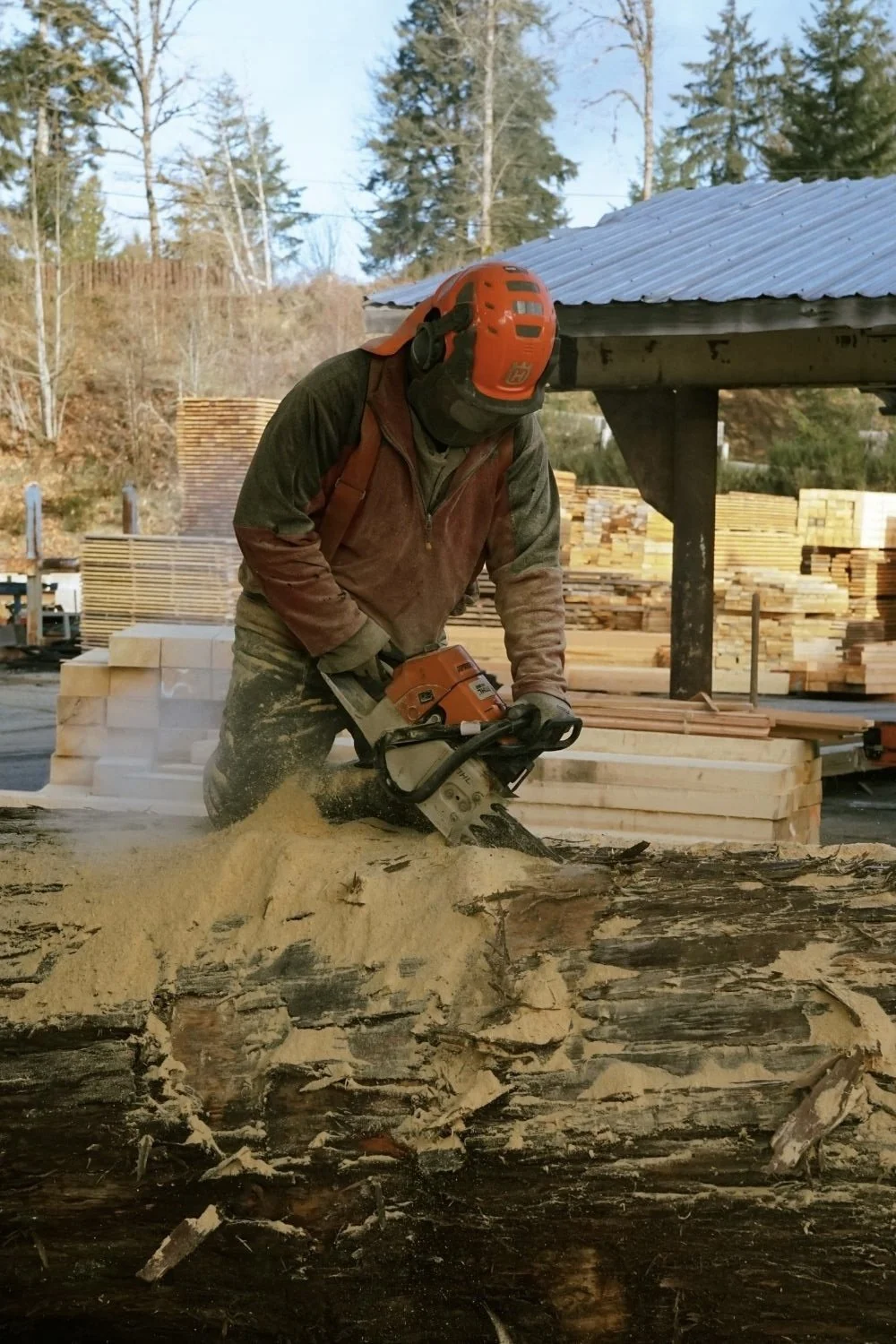 Great Central Timber Milling, Sawmill Port Alberni