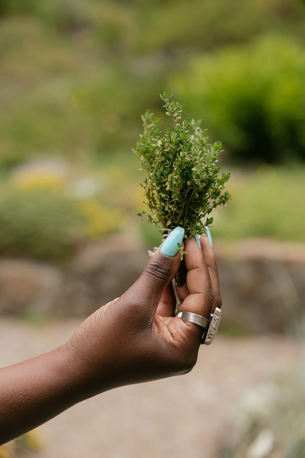Person with dark skin holding a bunch of fresh green herbs, outdoors with blurred greenery background.