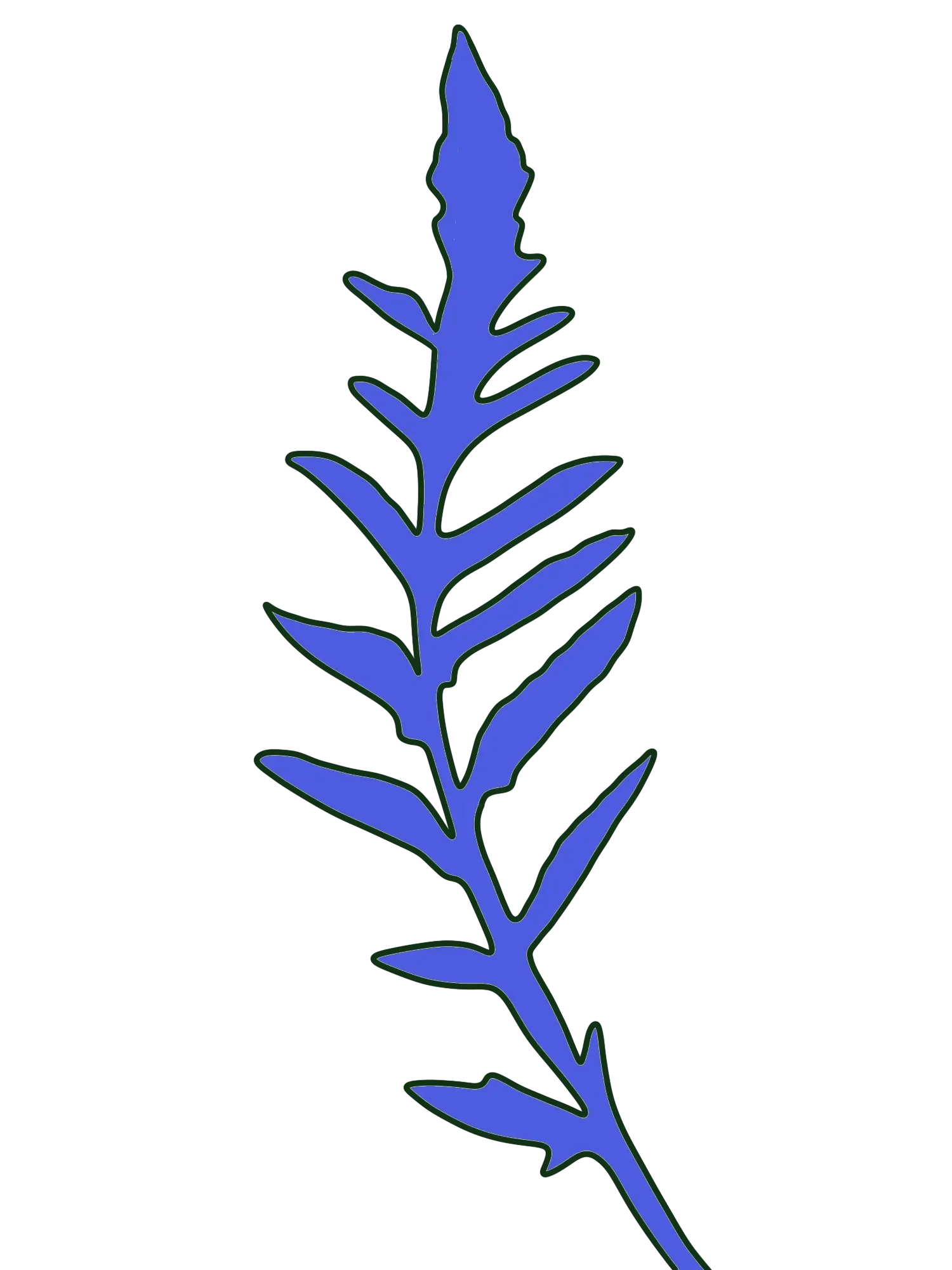 Hand-drawn royal blue poppy leaf stem with a dark green outline
