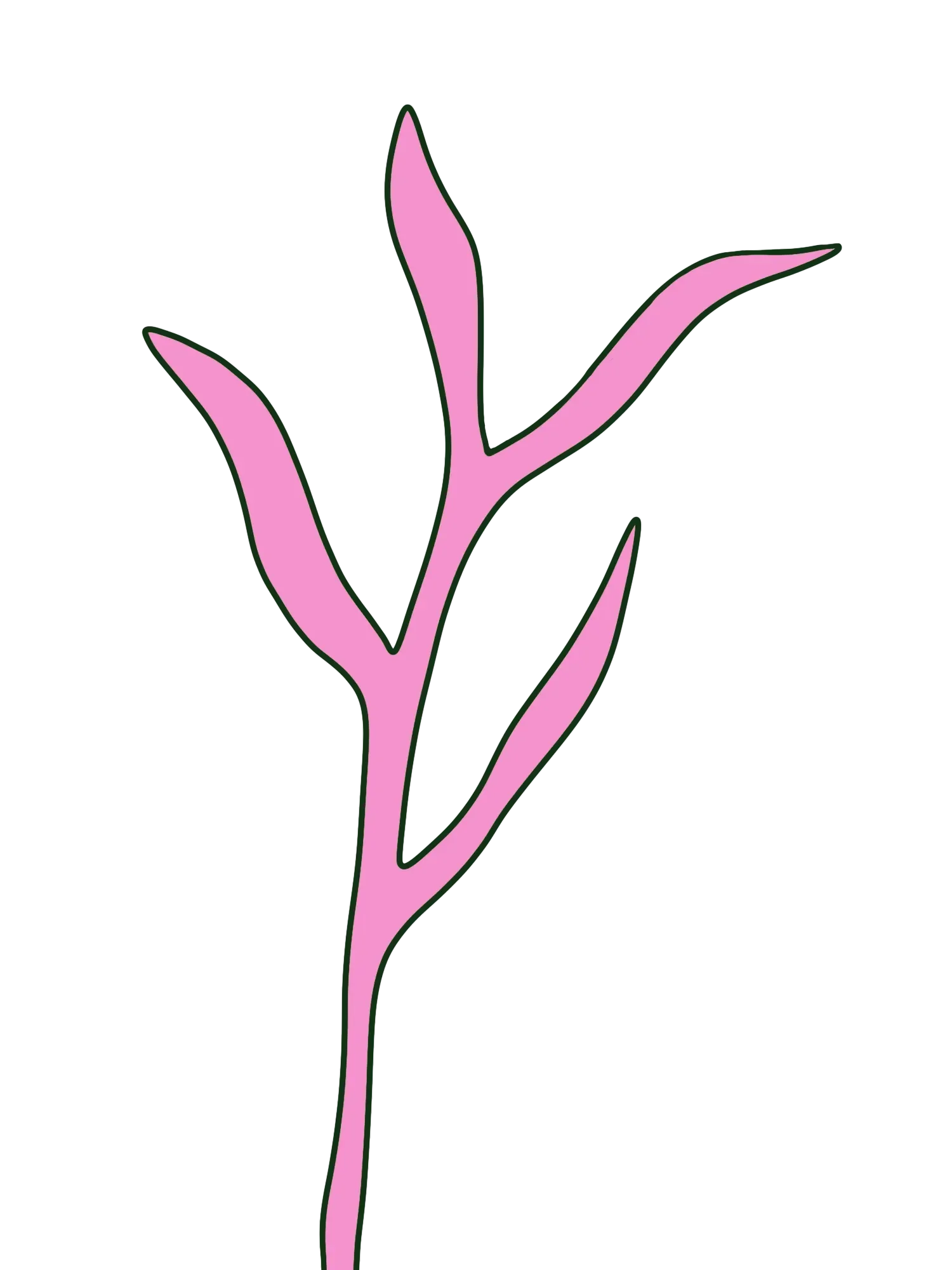 Hand-drawn pink leaf stem with a dark green outline