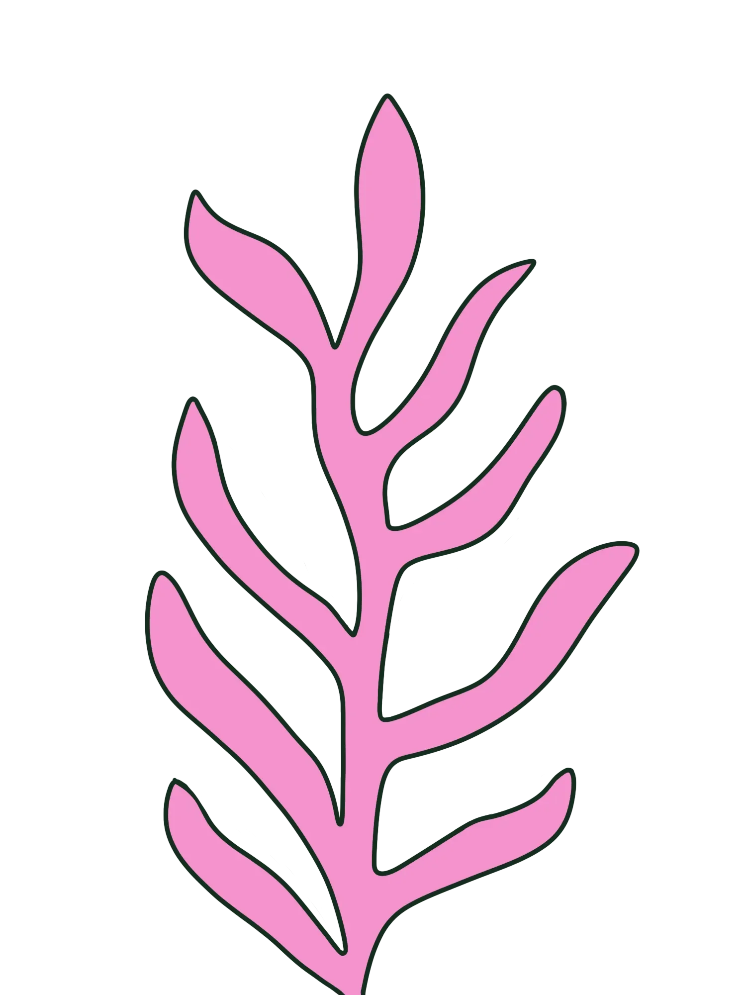 Hand-drawn pink leaf stem with a dark green outline