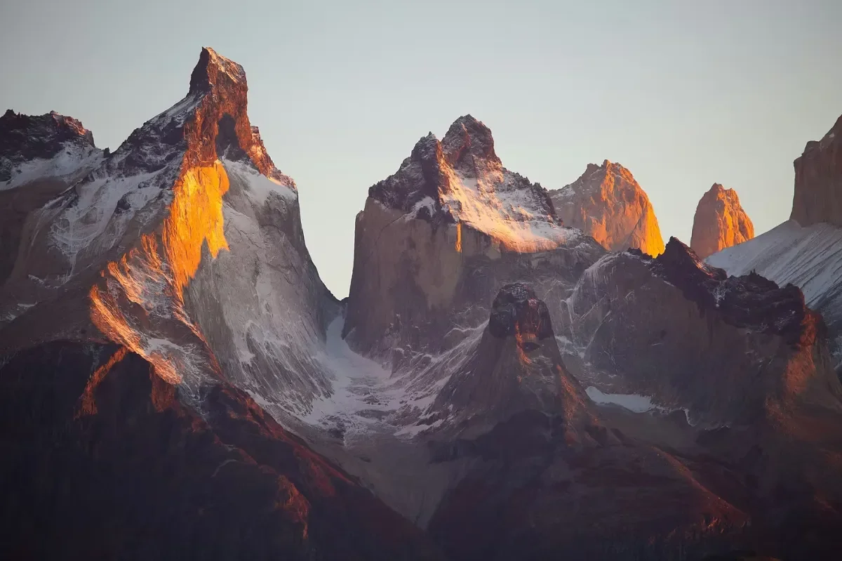 Embracing Purpose: Why B Corp™ Certification is a Game-Changer for Businesses
