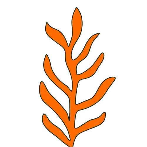 Hand-drawn orange leaf stem with a dark green outline