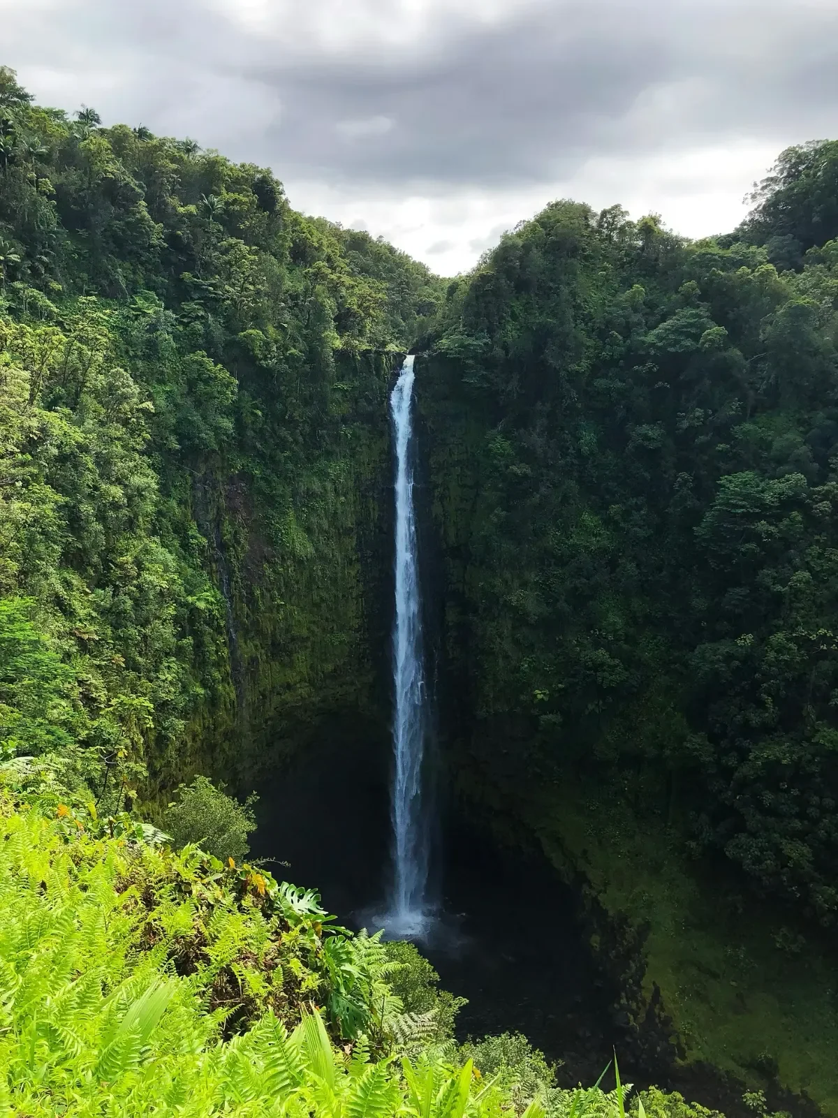 Long thin waterfall amongst lush green vegetation