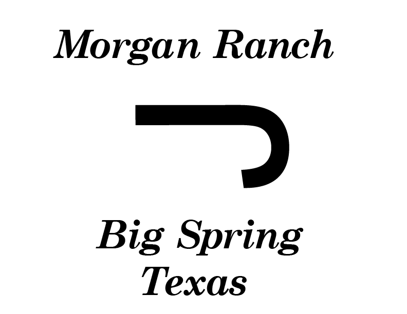 Morgan Family Logos