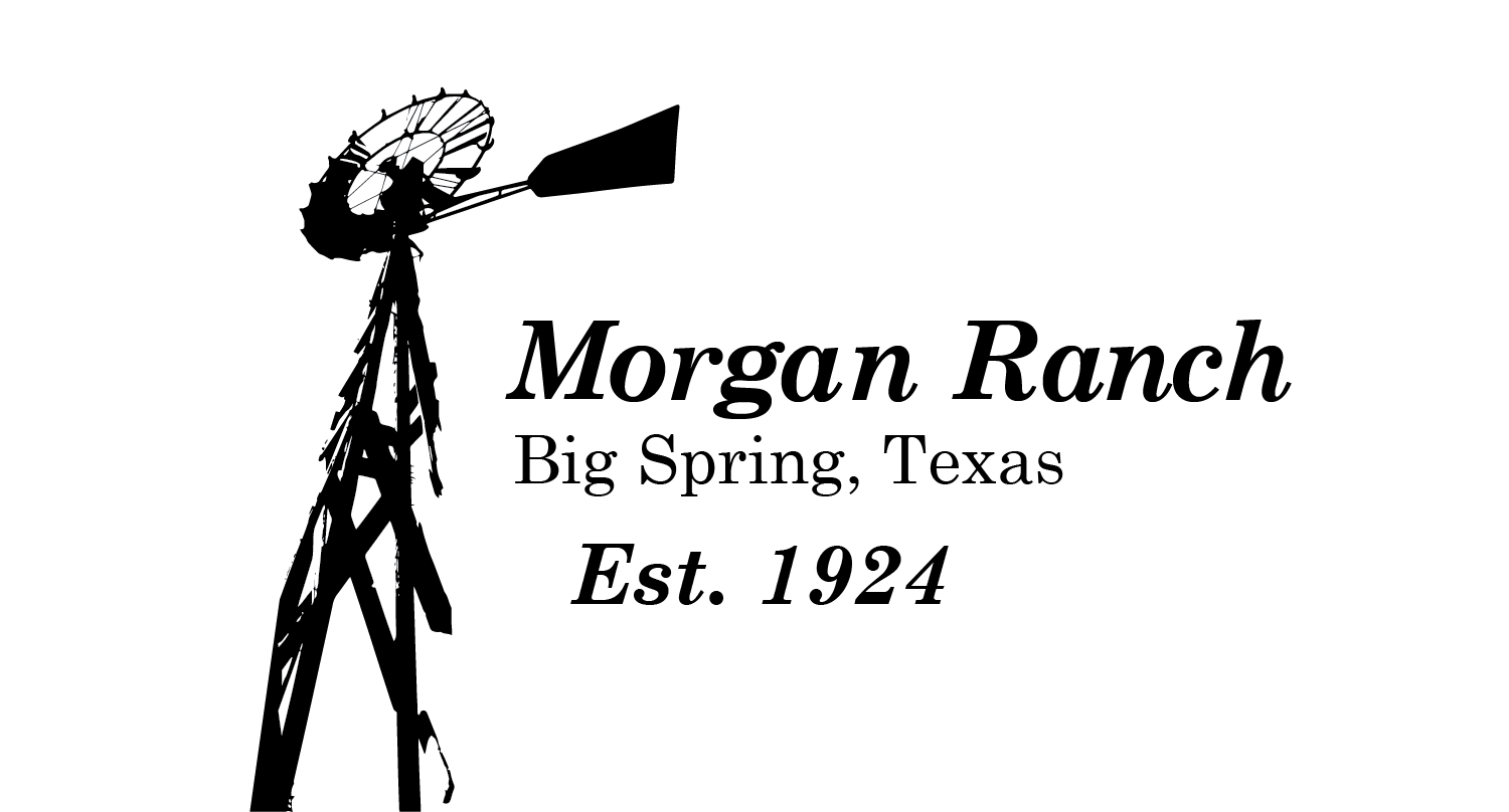 Koozie design