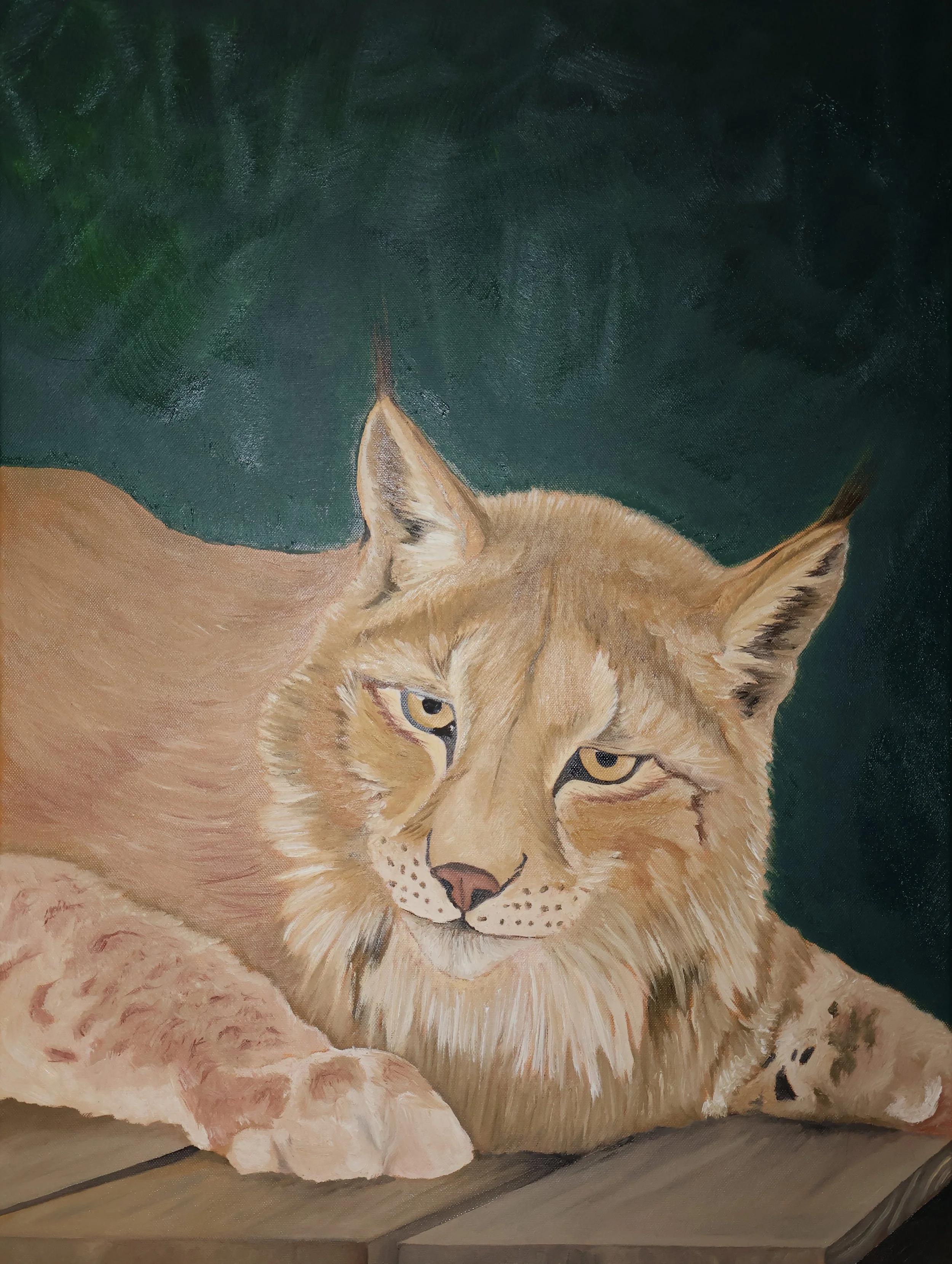 Kindred Gaze II