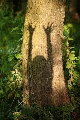 Touch Aversion After Trauma: When Your Body Won't Let Its Guard Down