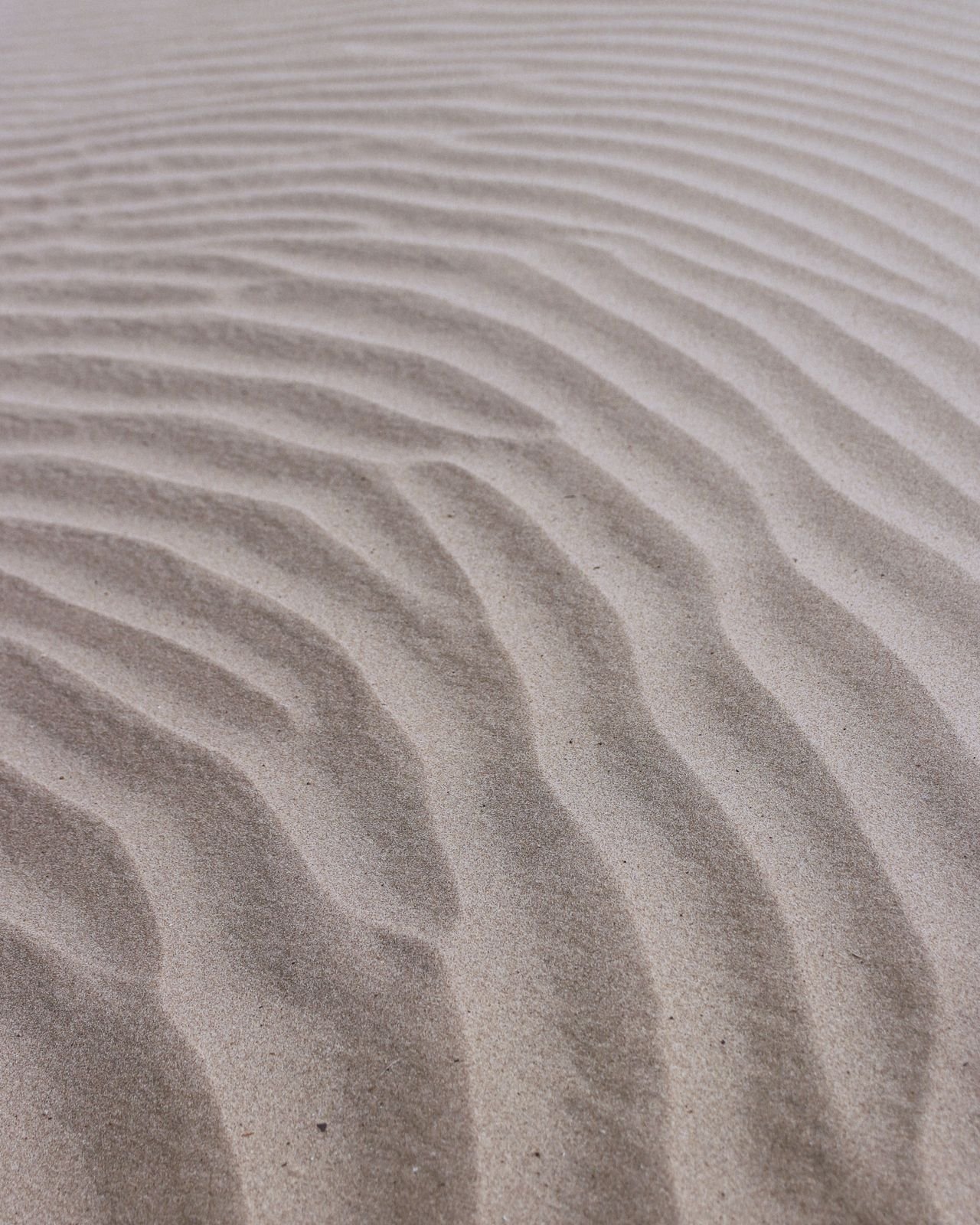 A Beginner’s Guide to Reiki: Clearing Up Common Misconceptions