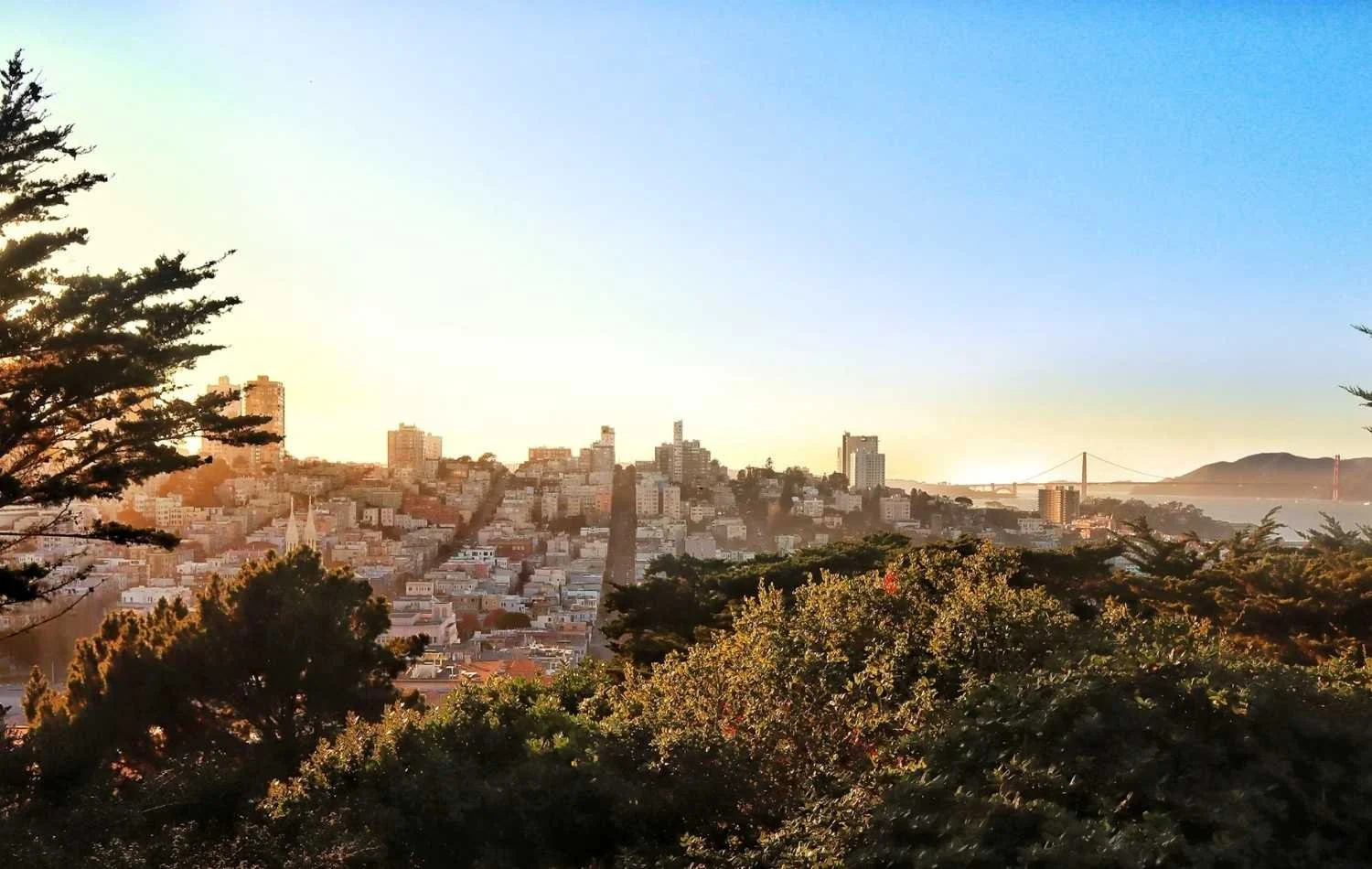 Commuting Between Seattle and San Francisco for Work: What It’s Really Like
