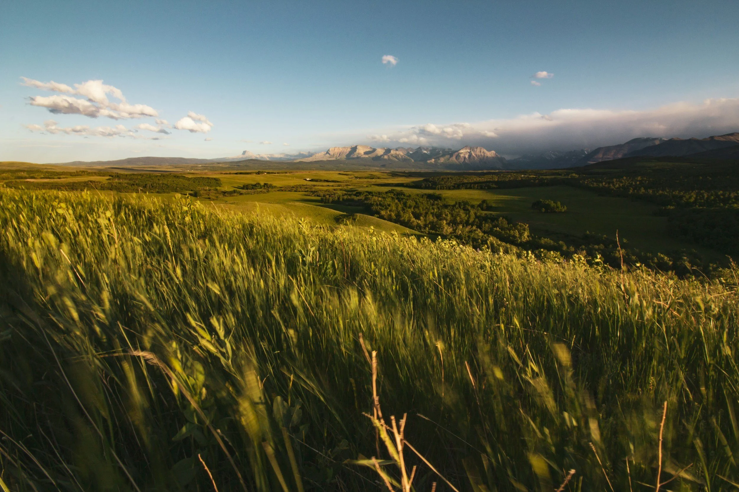 Alberta Foothills