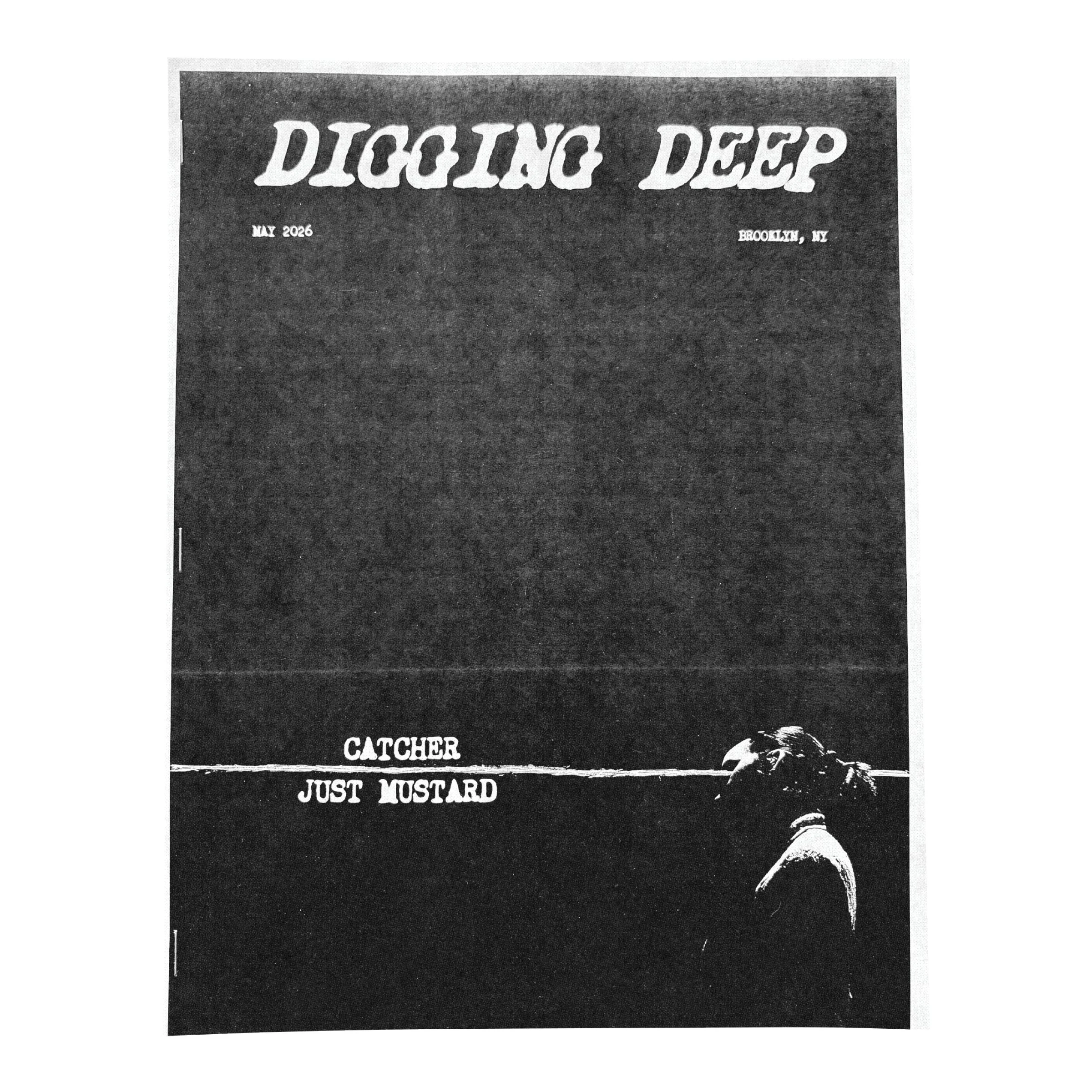 Zines