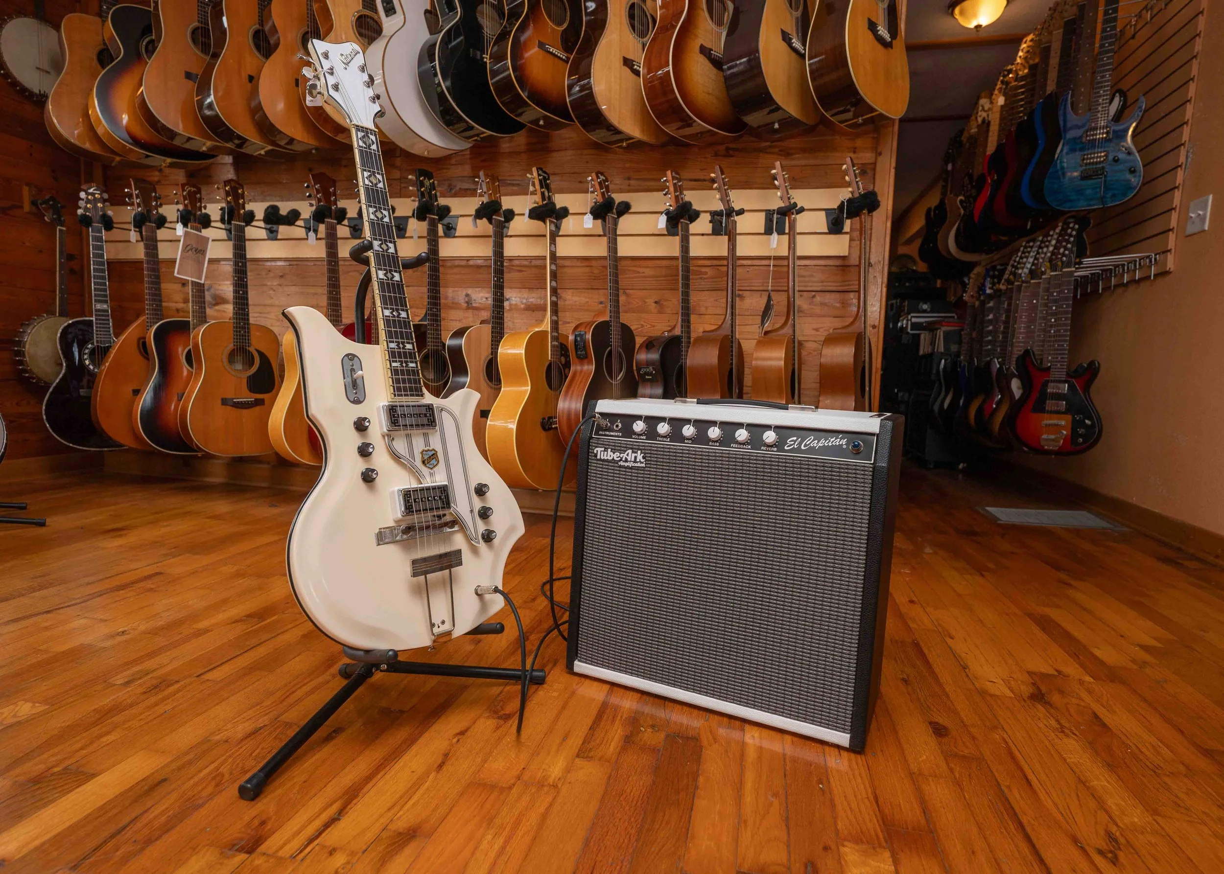 El Capitan with Guitar.jpg