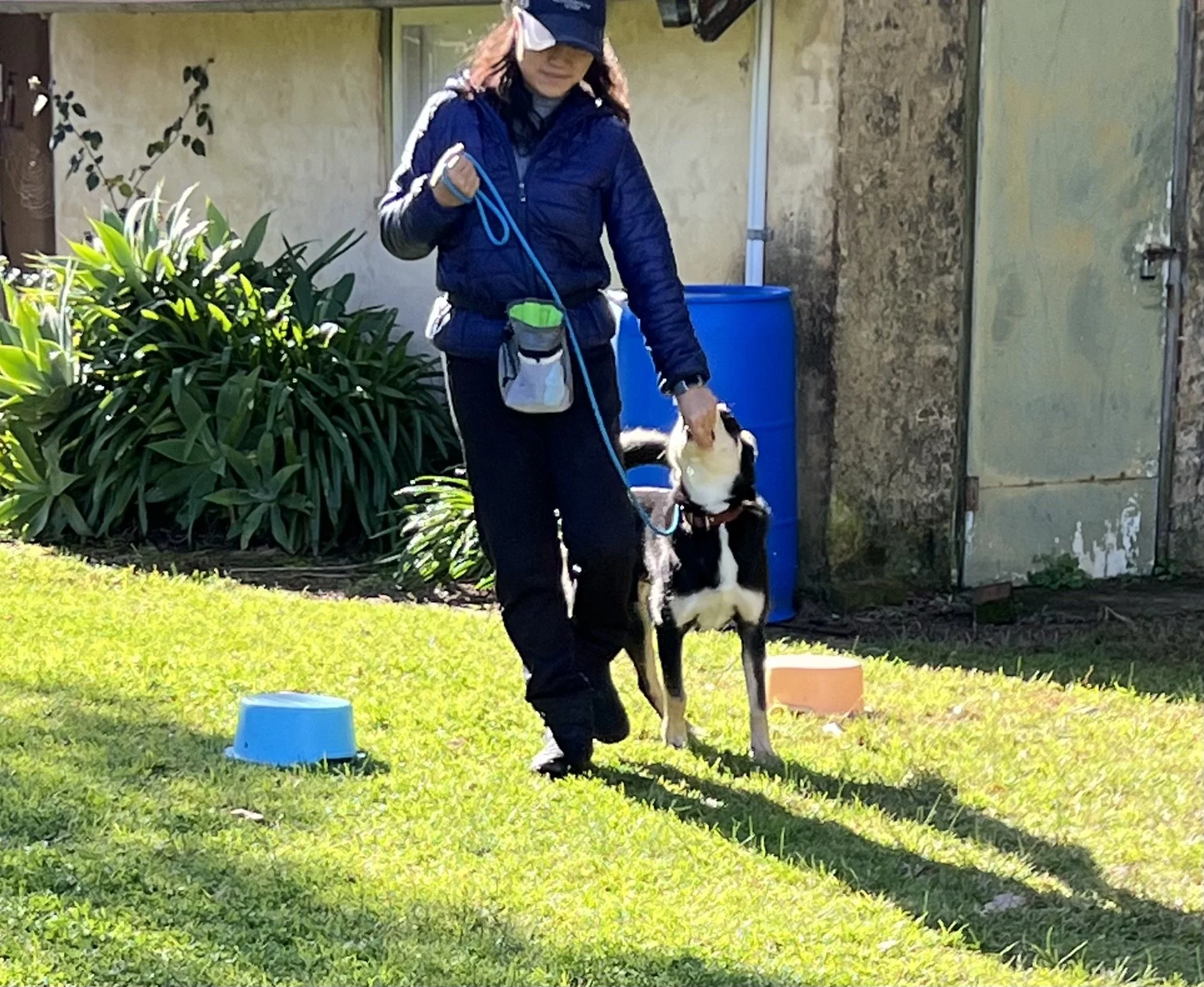 Beginners Rally Obedience