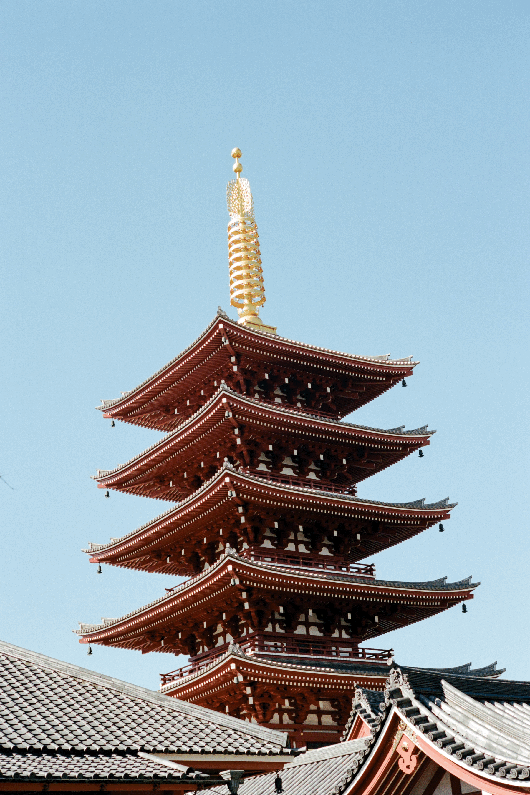 Japan Fall Enchantment Retreat - October 2027