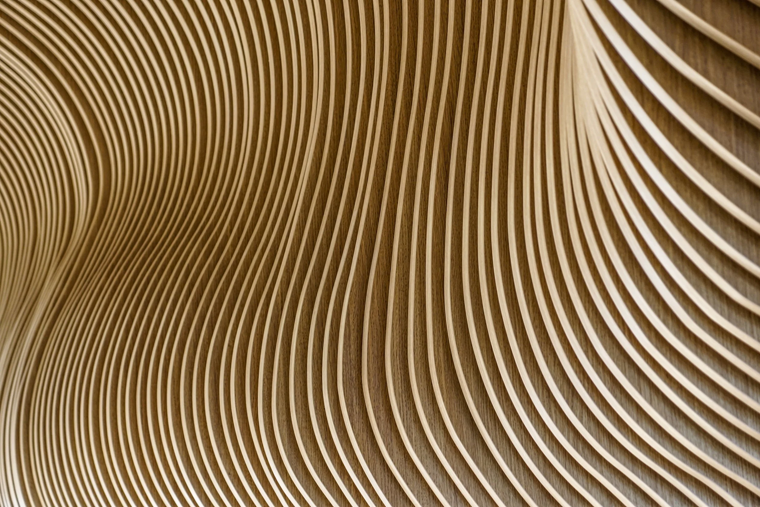 AdobeStock_207591374.jpeg