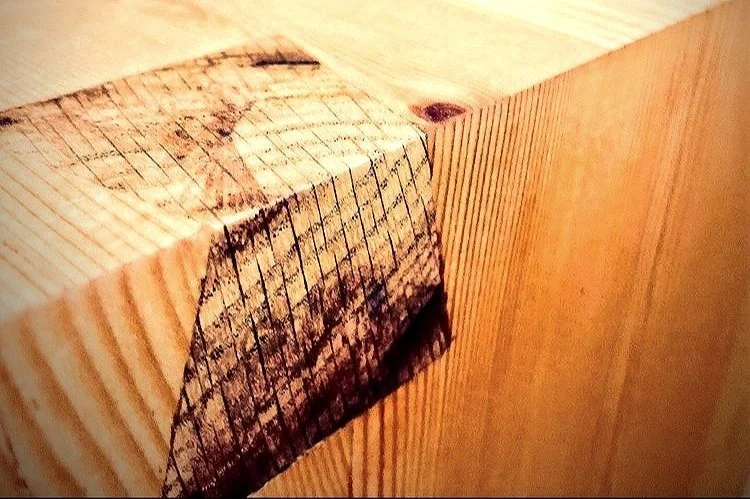 dovetail_edited_edited_edited_edited_edited (2).jpg