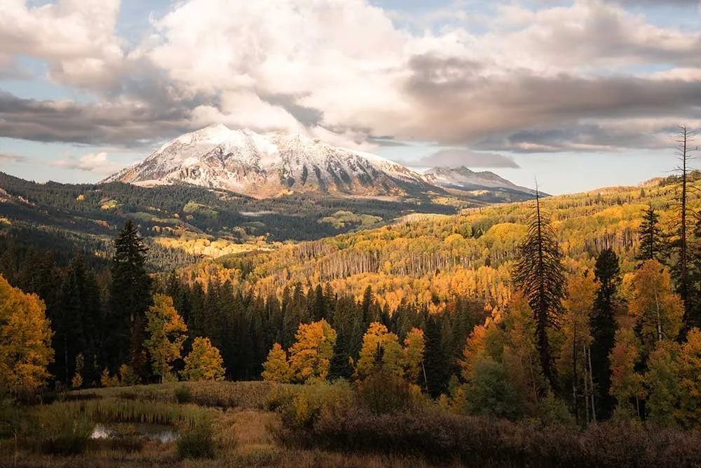 Colorado-Gold.jpg