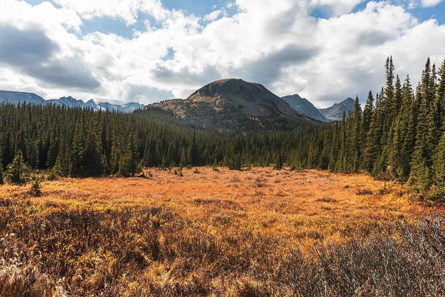 moose-basin-for-journal.jpg
