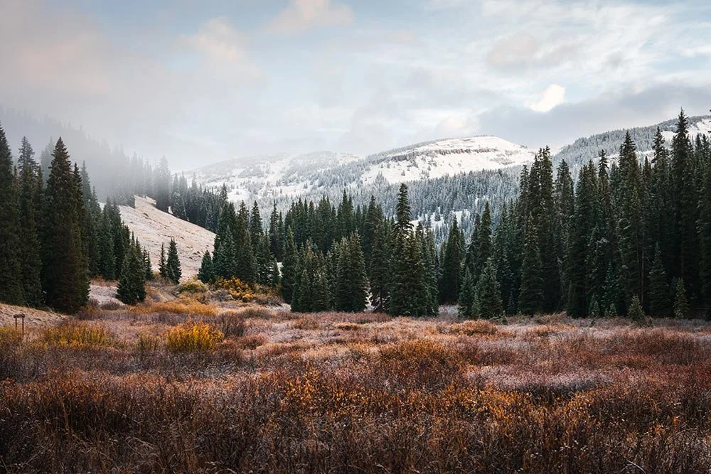 clash-of-seasons-for-site.jpg