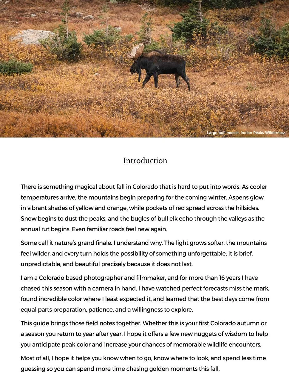 sample-page-2.jpg