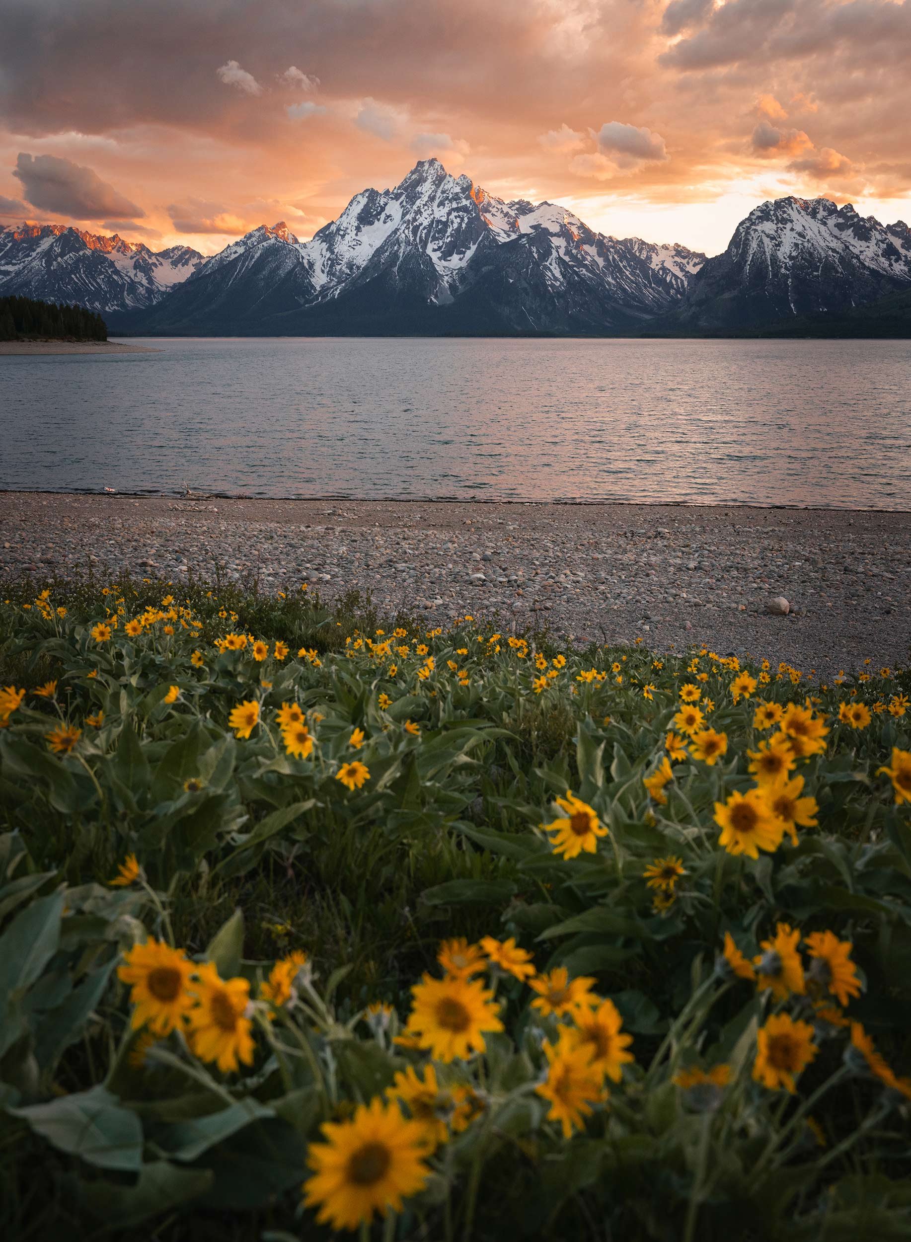 Tetons-Summer-22--final---TALL-).jpg