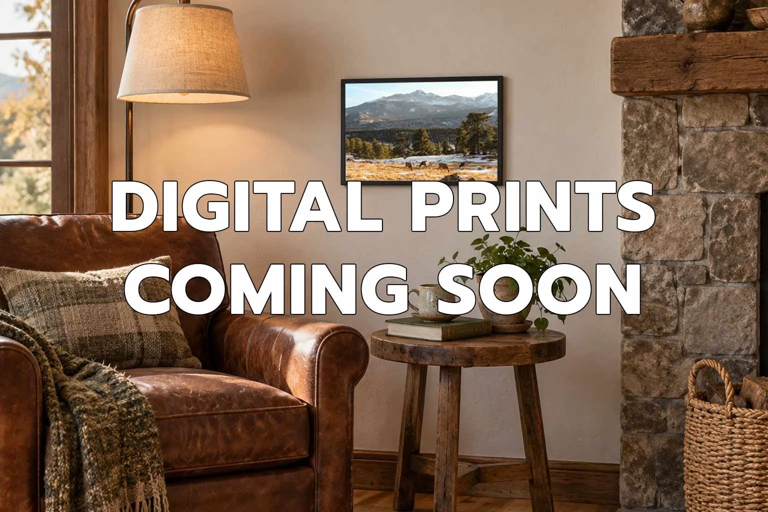 DIGITAL PRINTS