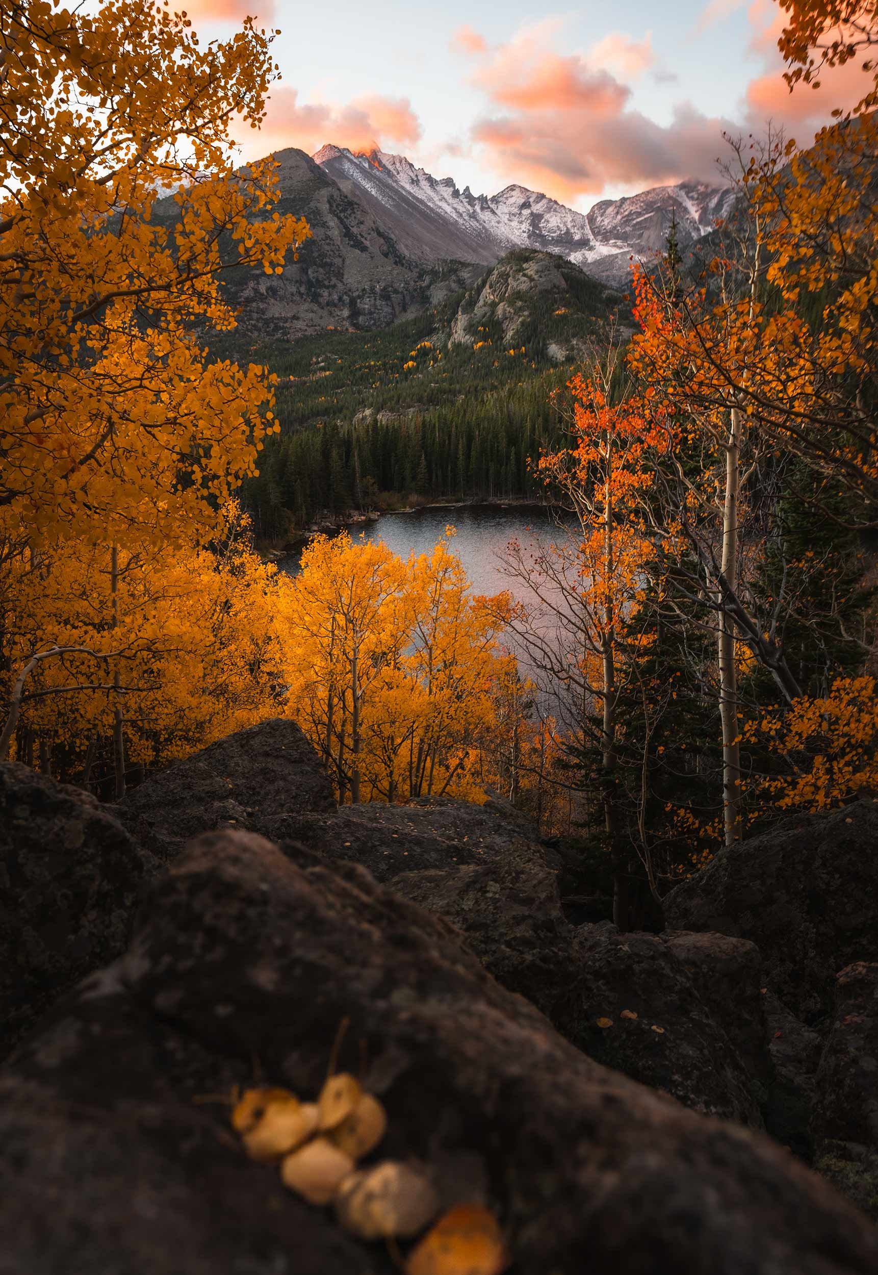 Autumn-Gold.jpg