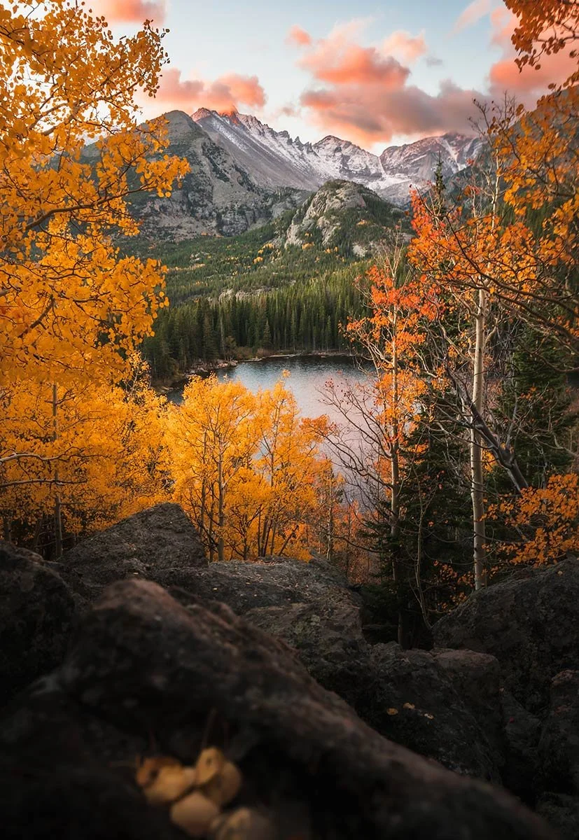 autumn-gold-for-site-1.jpg