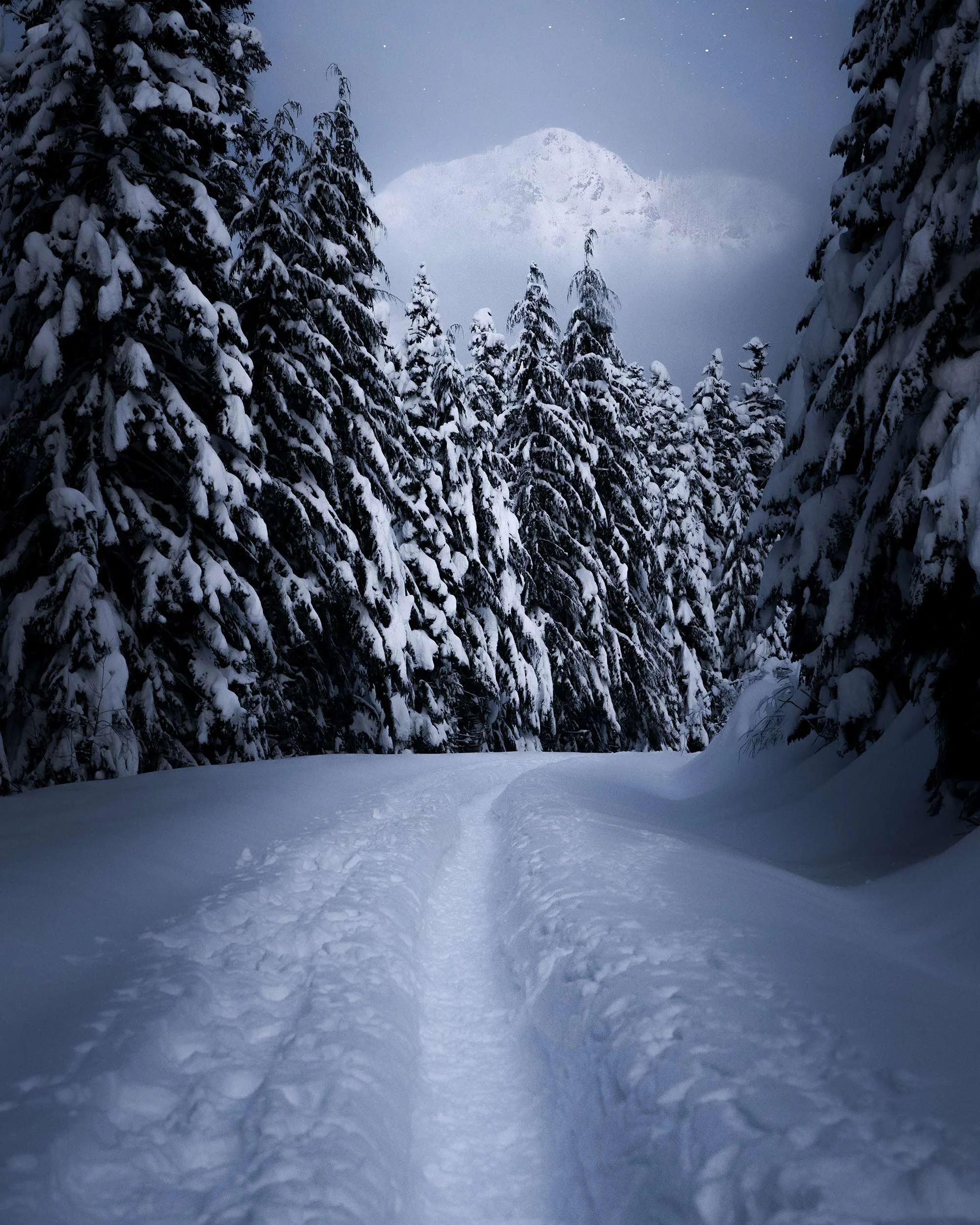 Silent-Night-(1-of-1).jpg