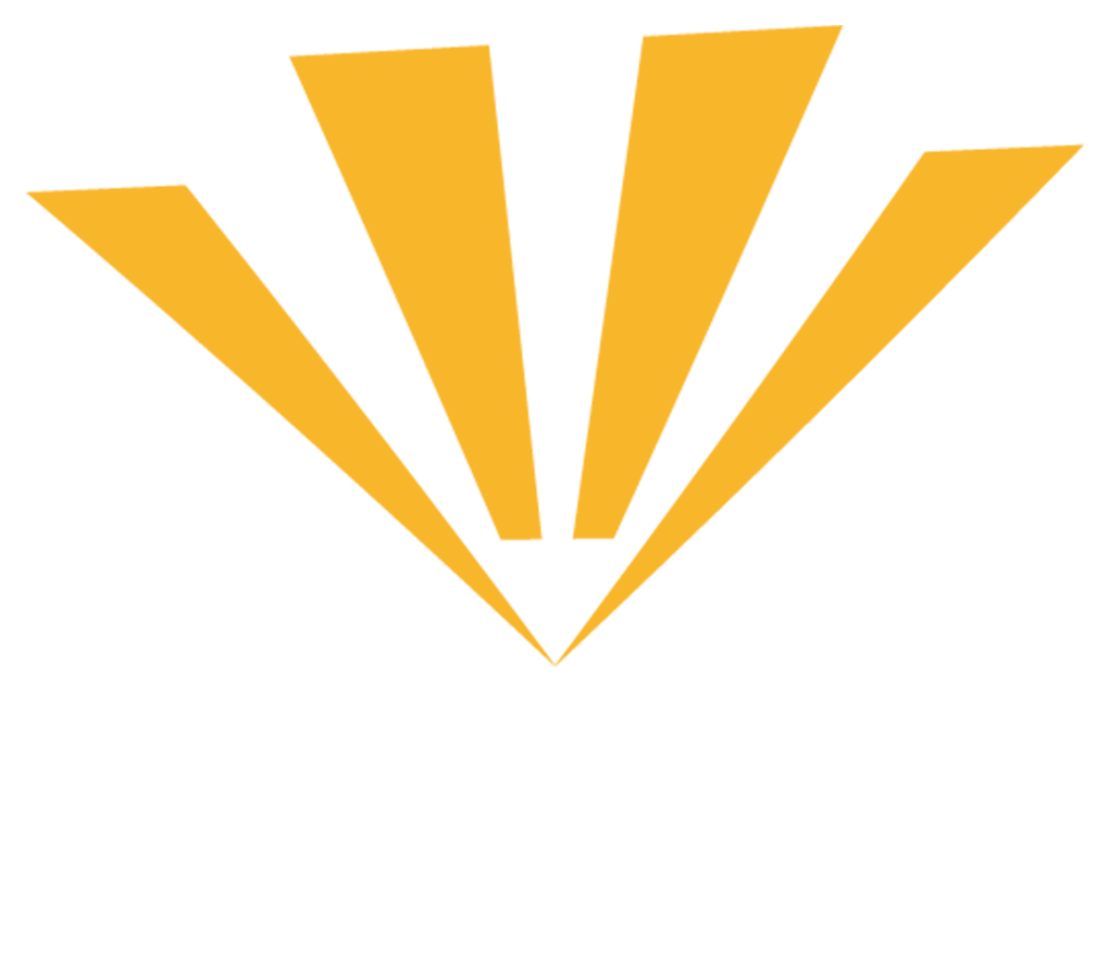Orkest Performance 