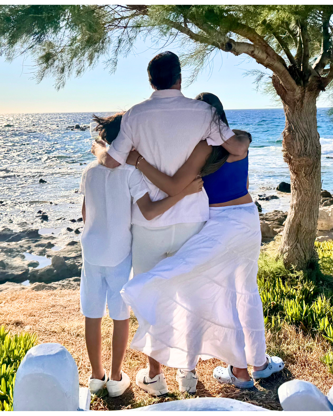 A family of four sharing an embrace on a rocky shoreline under a tree, with the ocean and sunlight in the background.