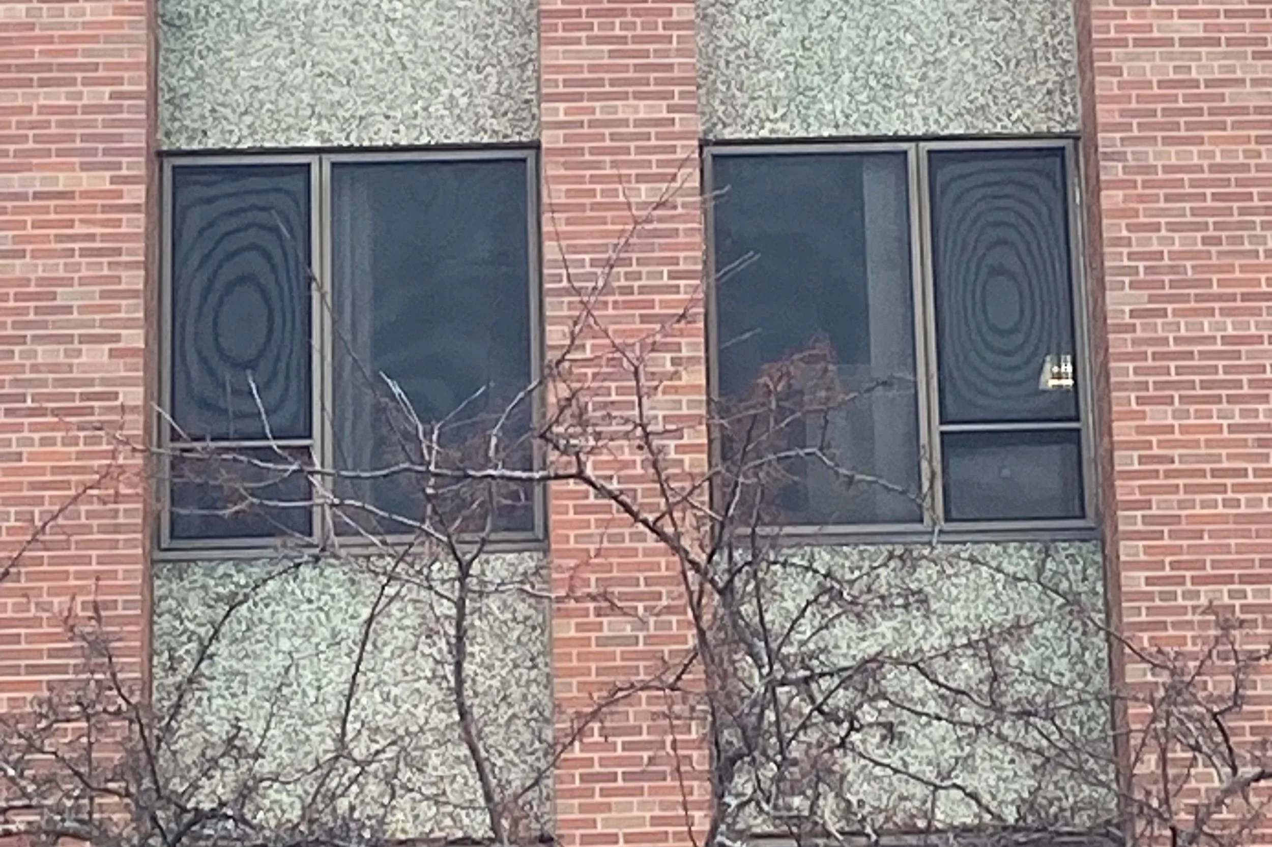 A brick building with two rectangular windows showing the reflection of light on the window screens.