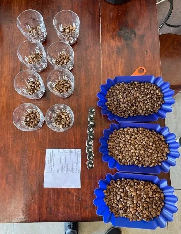 Nine clear glasses filled with roasted seeds, three blue trays filled with roasted seeds, a metal belt, and a handwritten note on a wooden table.