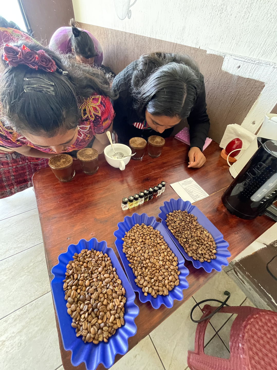 Three women examining cups of coffee on a wooden table with three blue trays of roasted coffee beans and small bottles of essential oils.