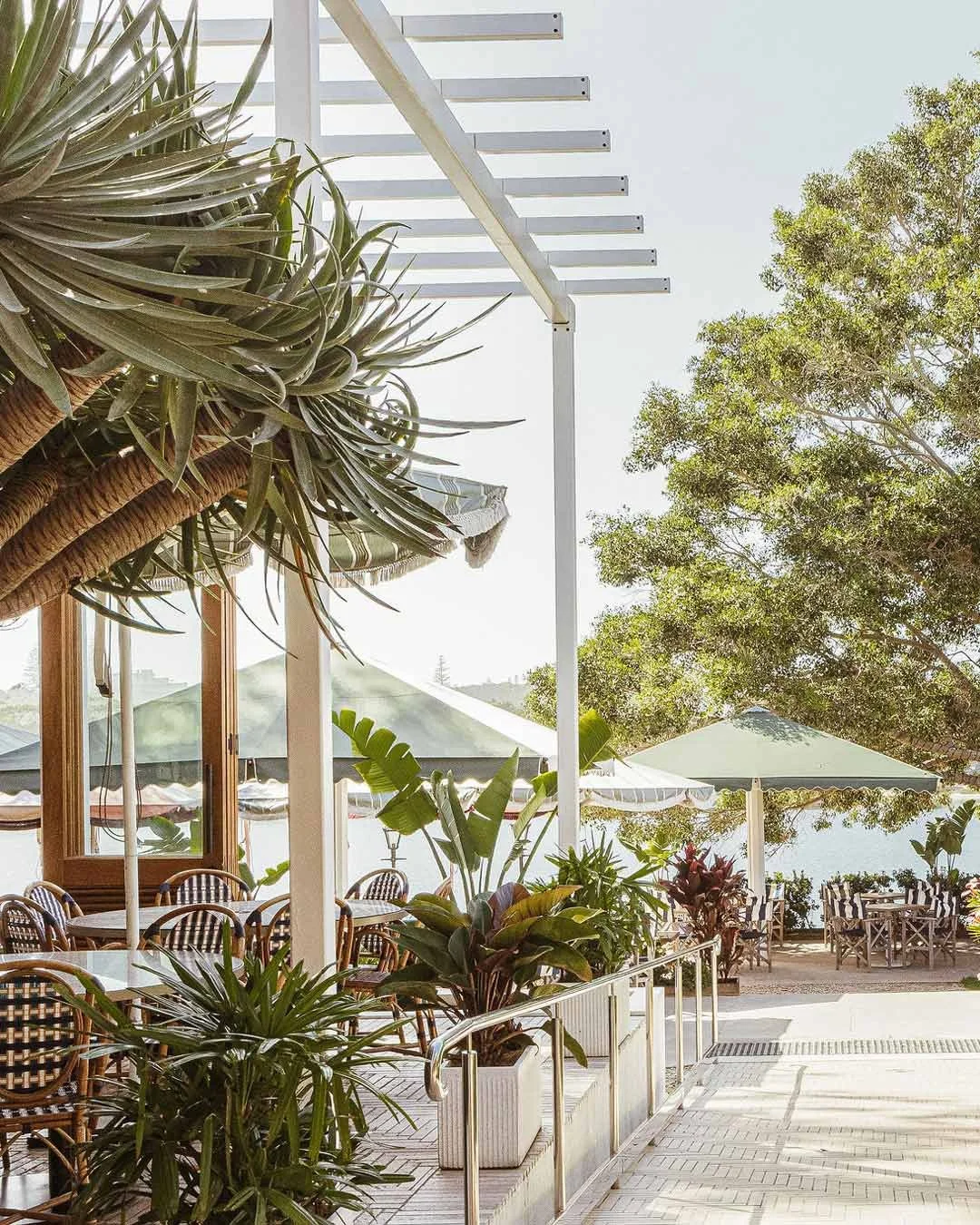 Outdoor patio with tables and chairs, large green plants, umbrellas, and trees, overlooking a body of water.