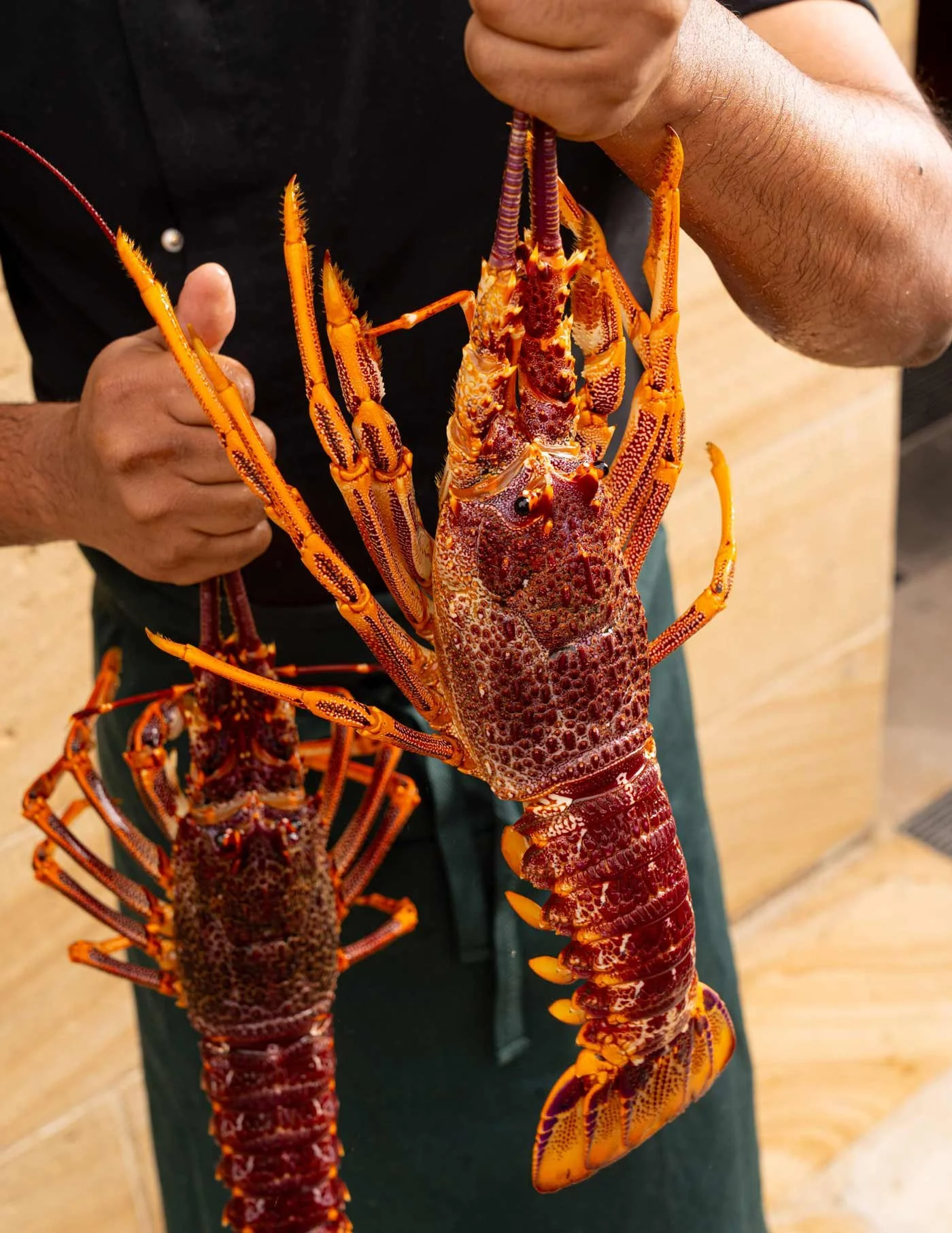 A person holding two live lobsters by their claws. The lobsters are bright orange with detailed claws and antennae, and are held above a wooden surface.