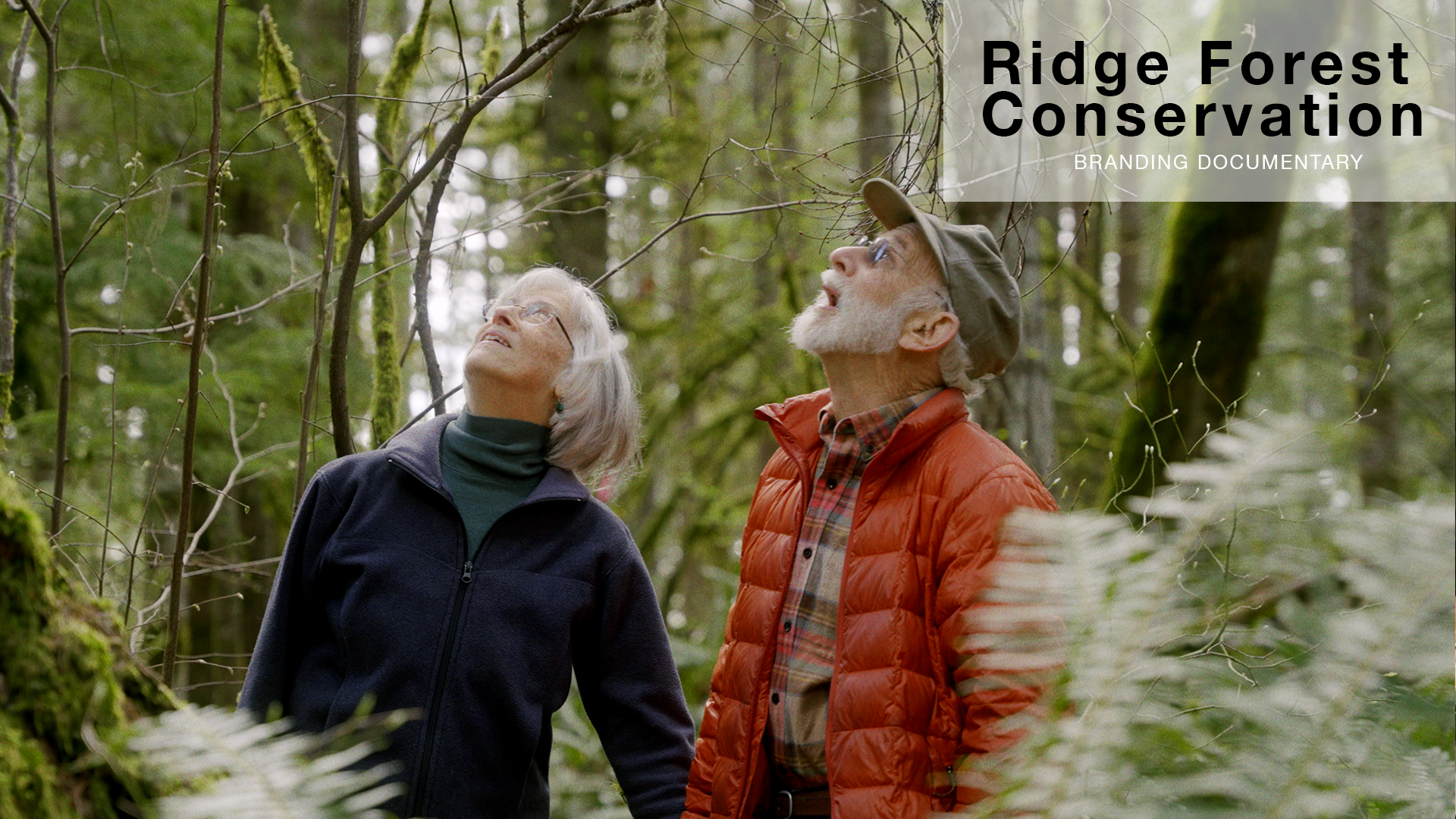 Ridge Forest.png